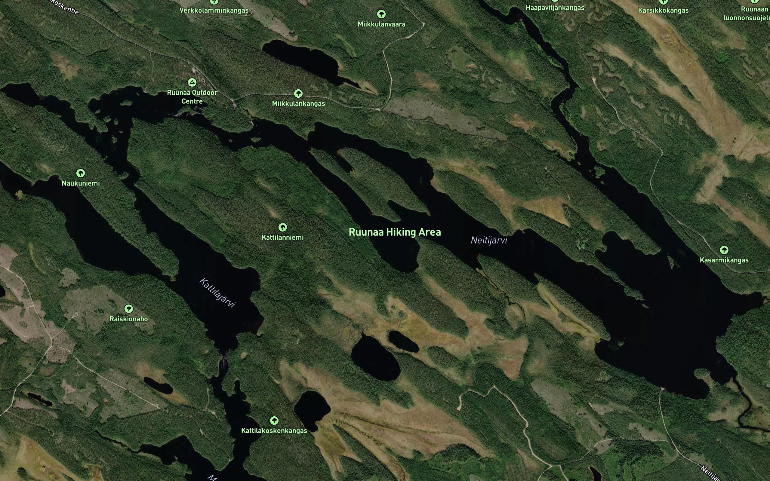 Neitijoki