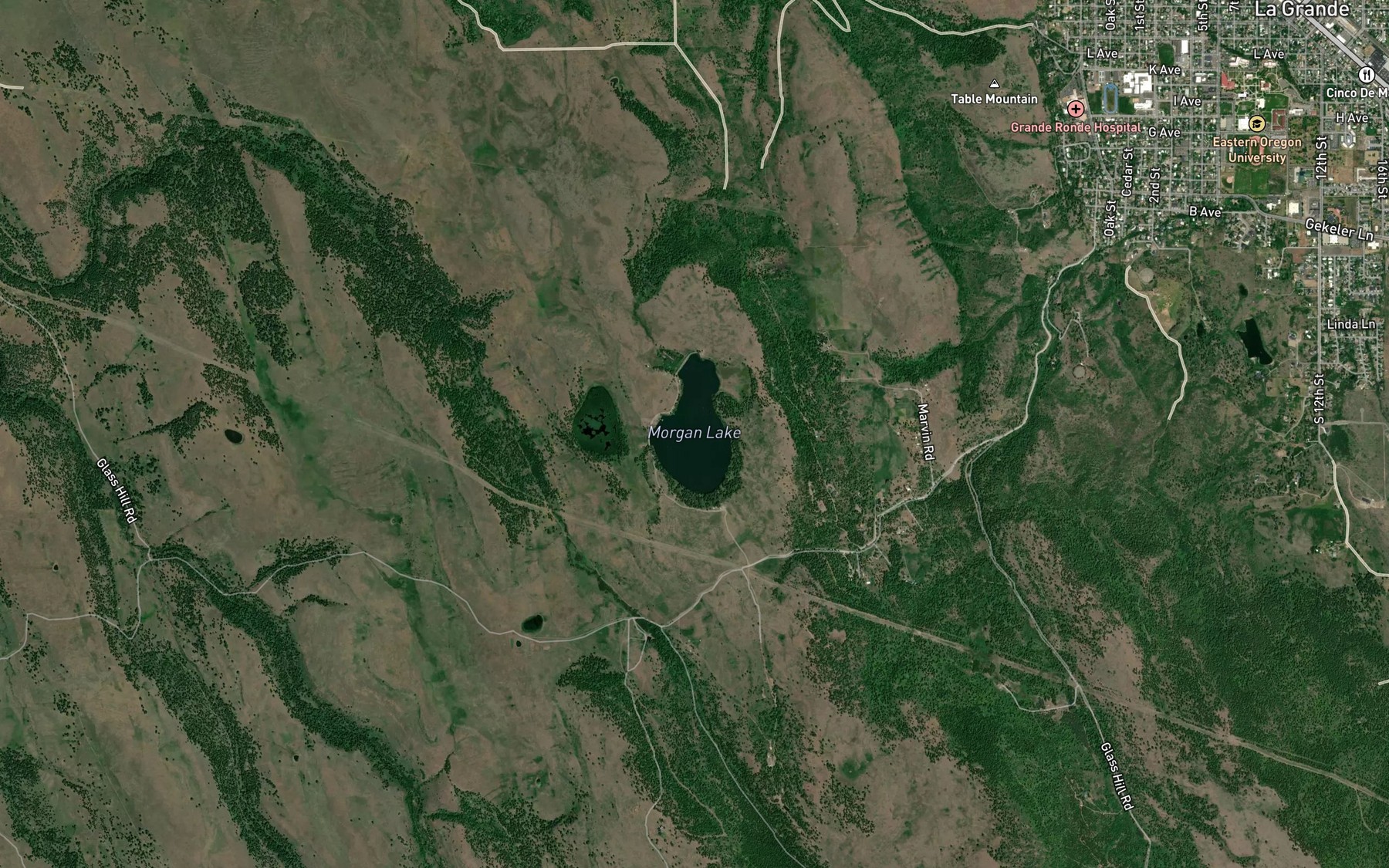 Satellite map of the Morgan Lake