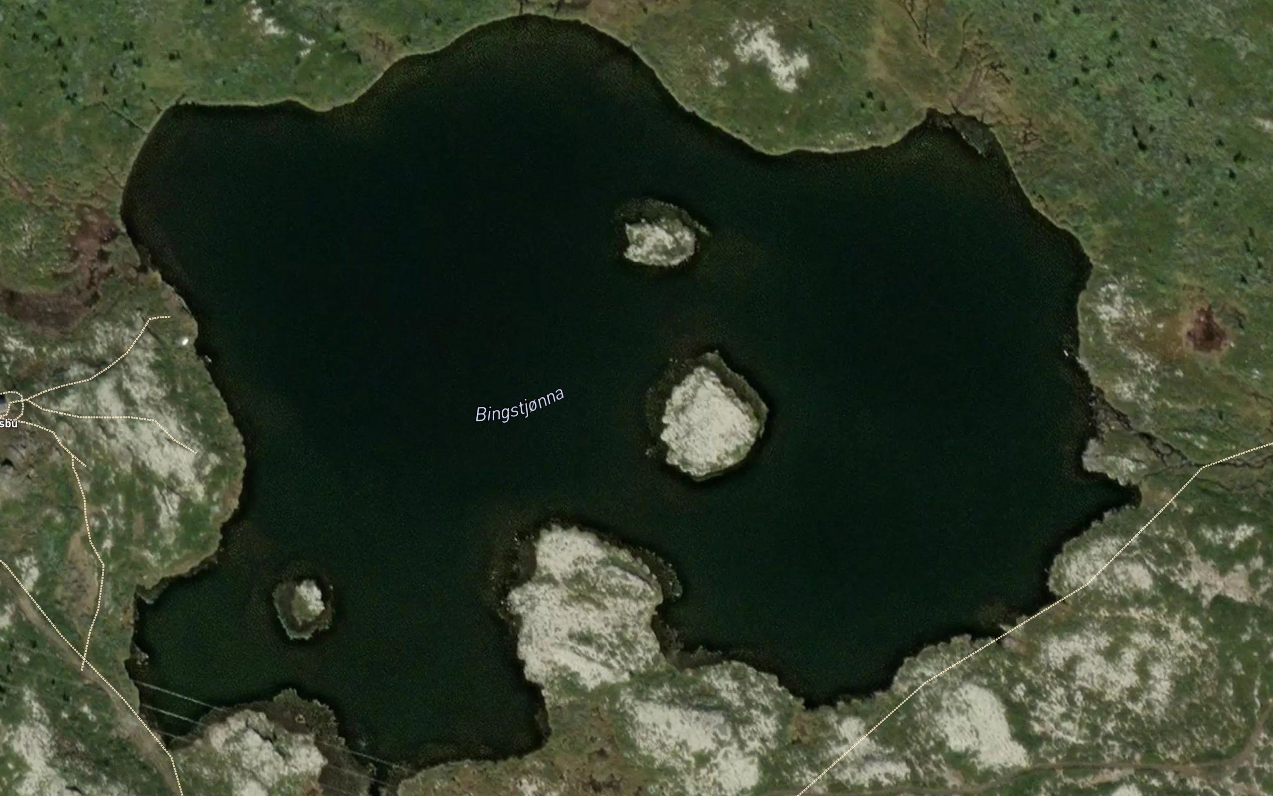 Bingstjorna