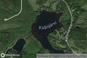 Kalpiijarvi