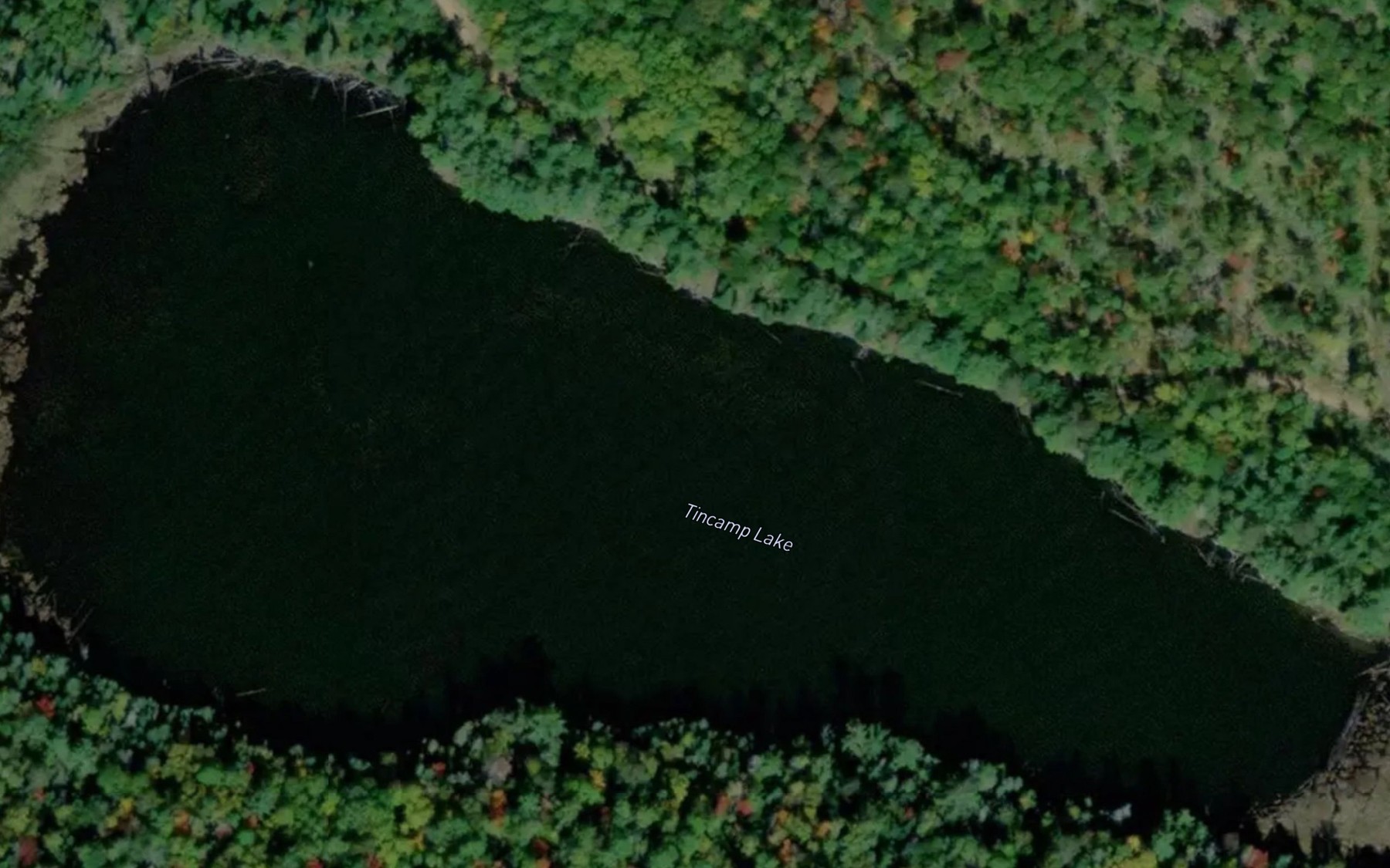 Satellite map of the Tincamp Lake