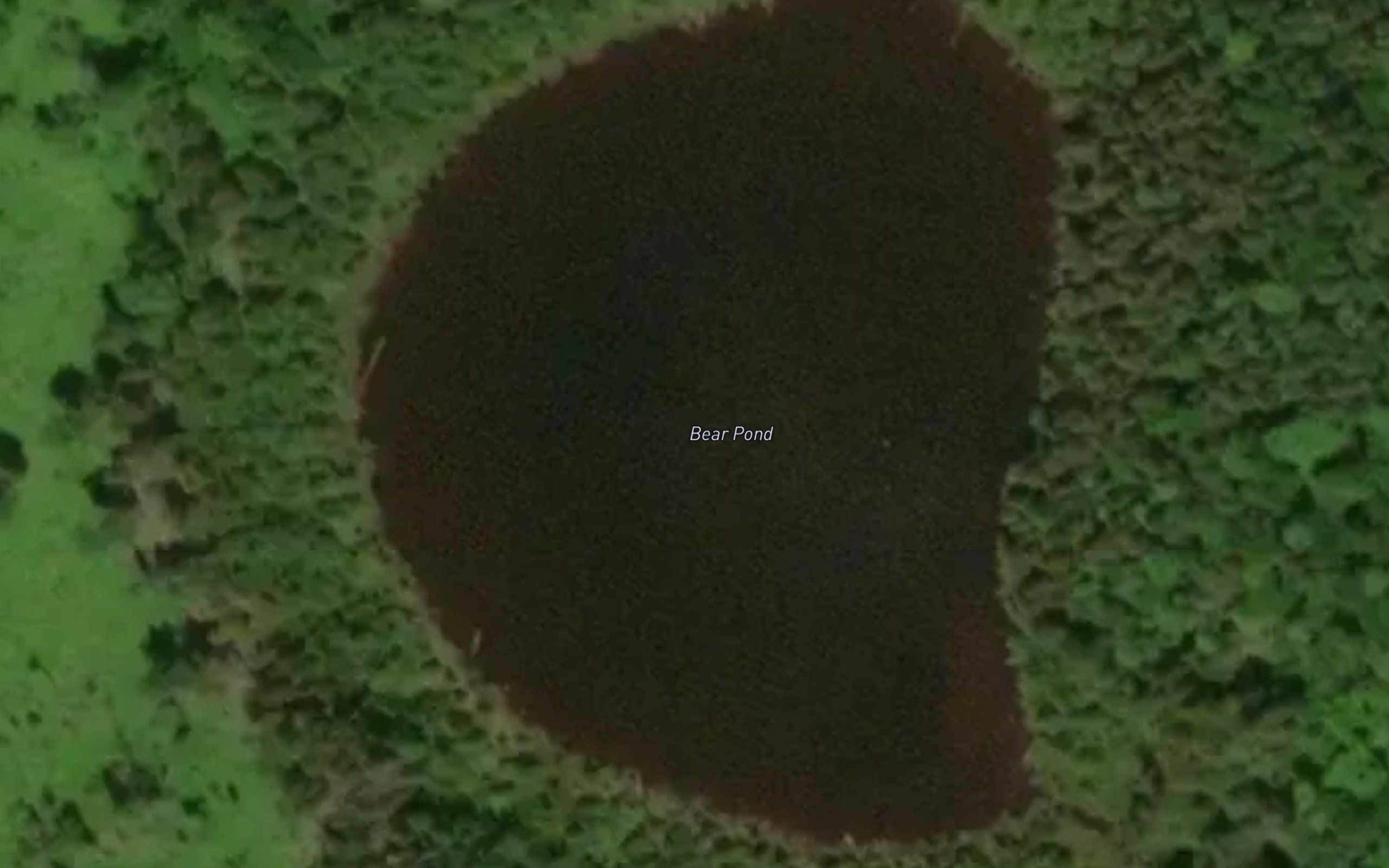 Bear Pond
