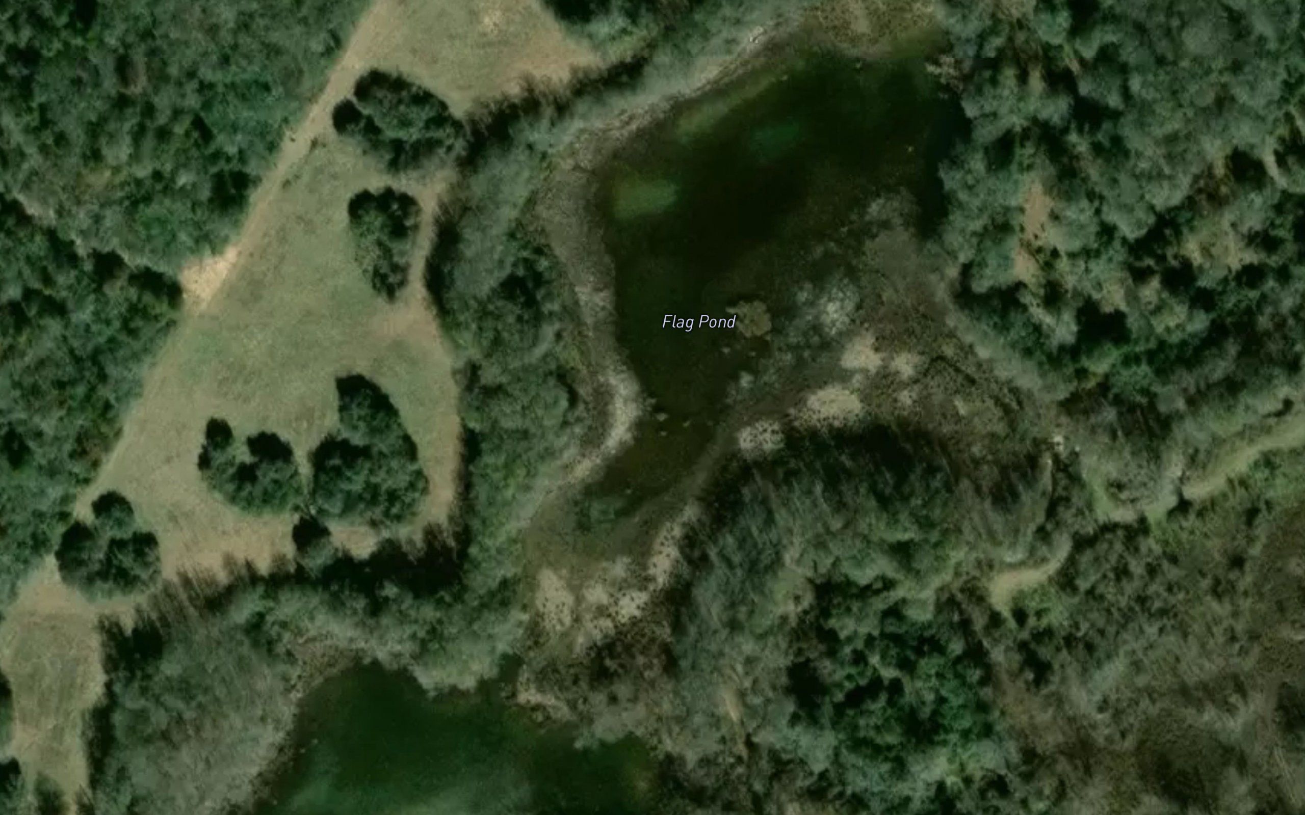 Flag Pond