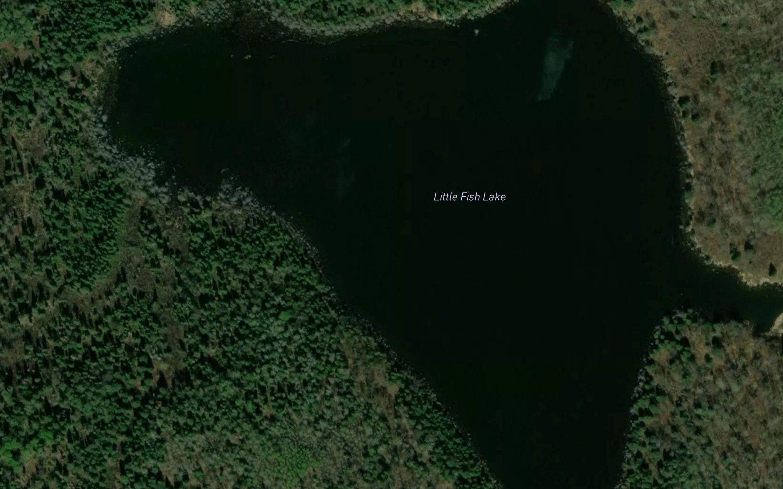 Little Fish Lake