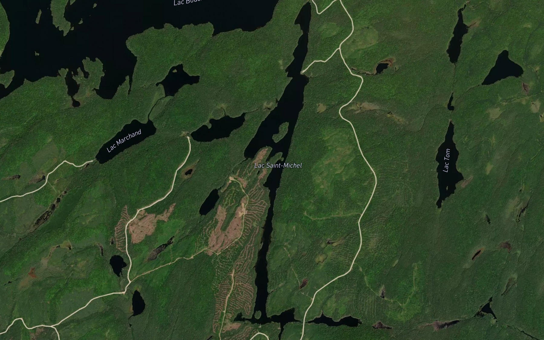 Satellite map of the Lac Saint-Michel