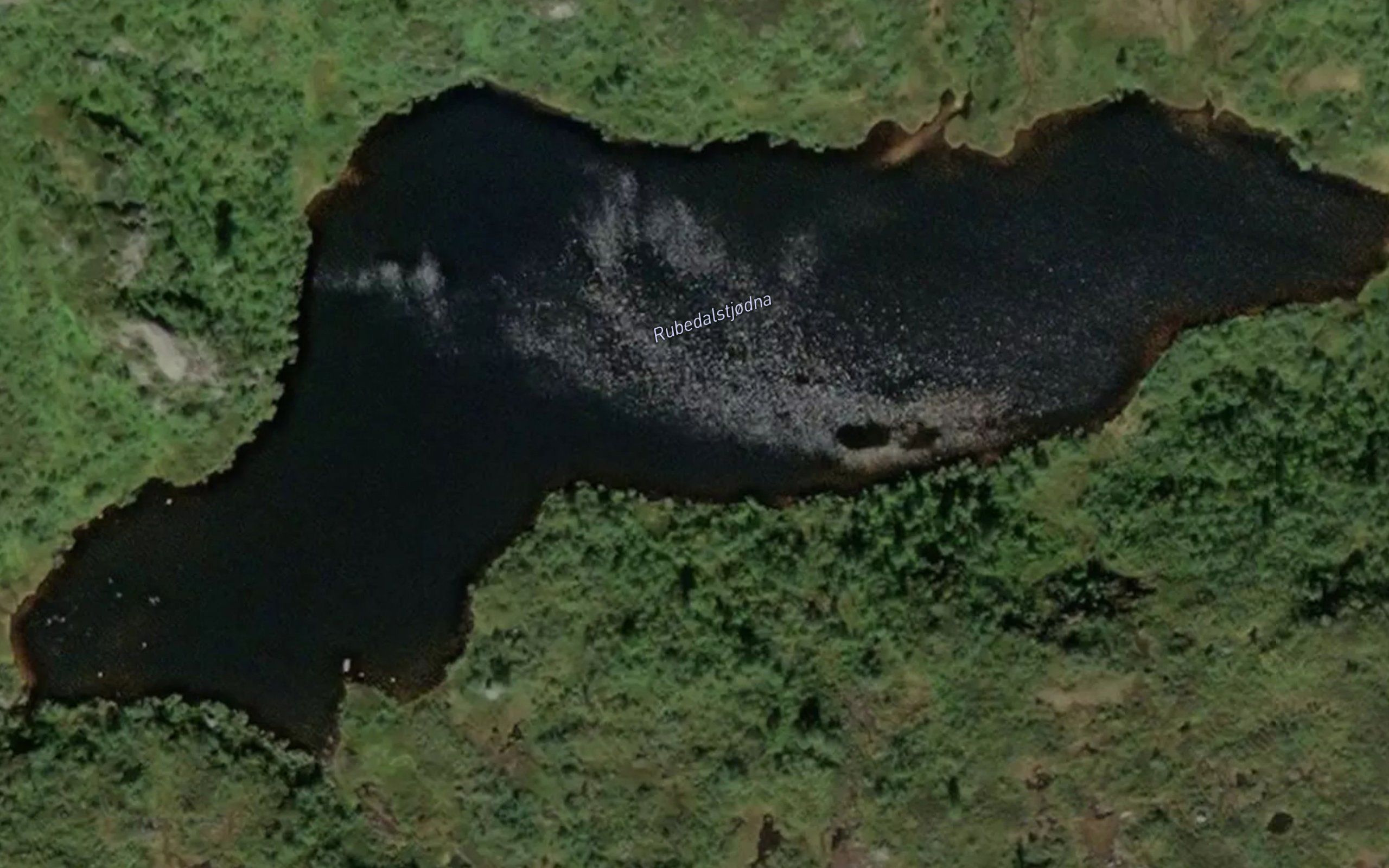 Rubedalstjodna