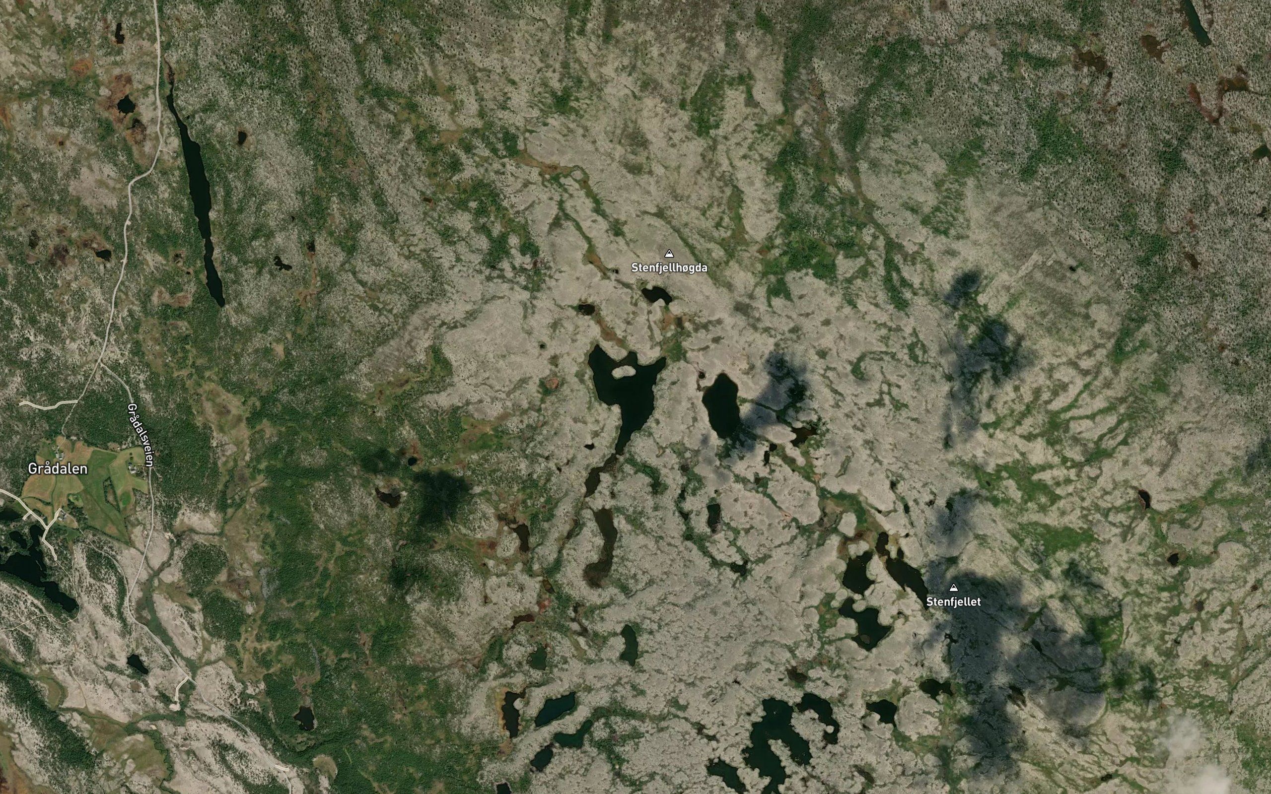 Julfisktjonna