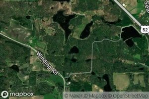 Fifty Turtlehead Pond