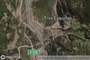 Estero Curinumo