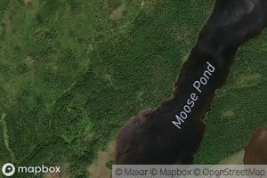 Moose Pond