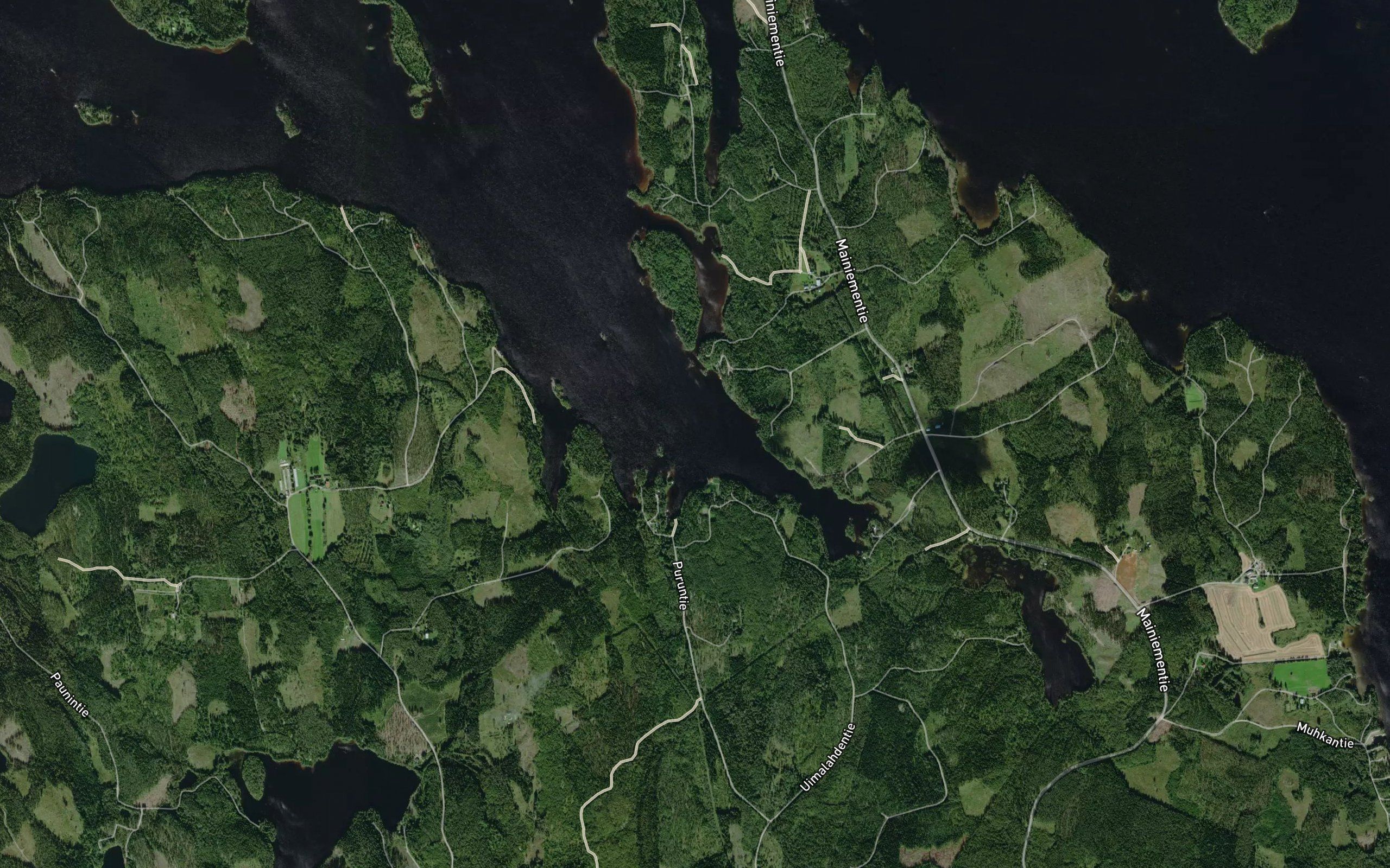 Uimalahti
