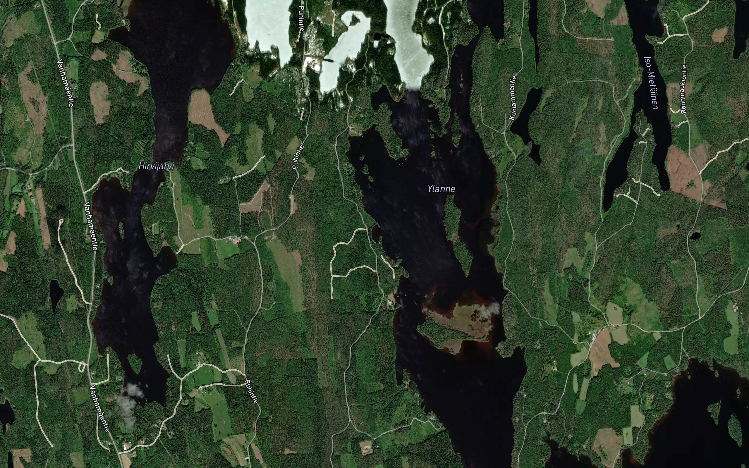 Patalahti