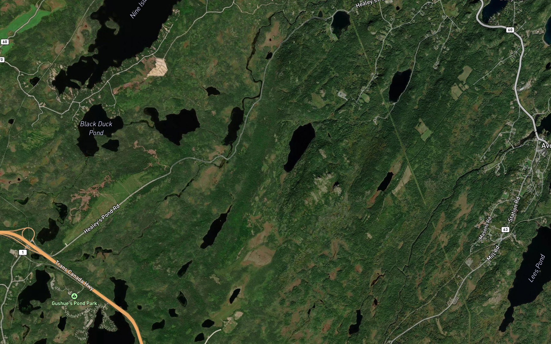 Satellite map of the Healeys Pond