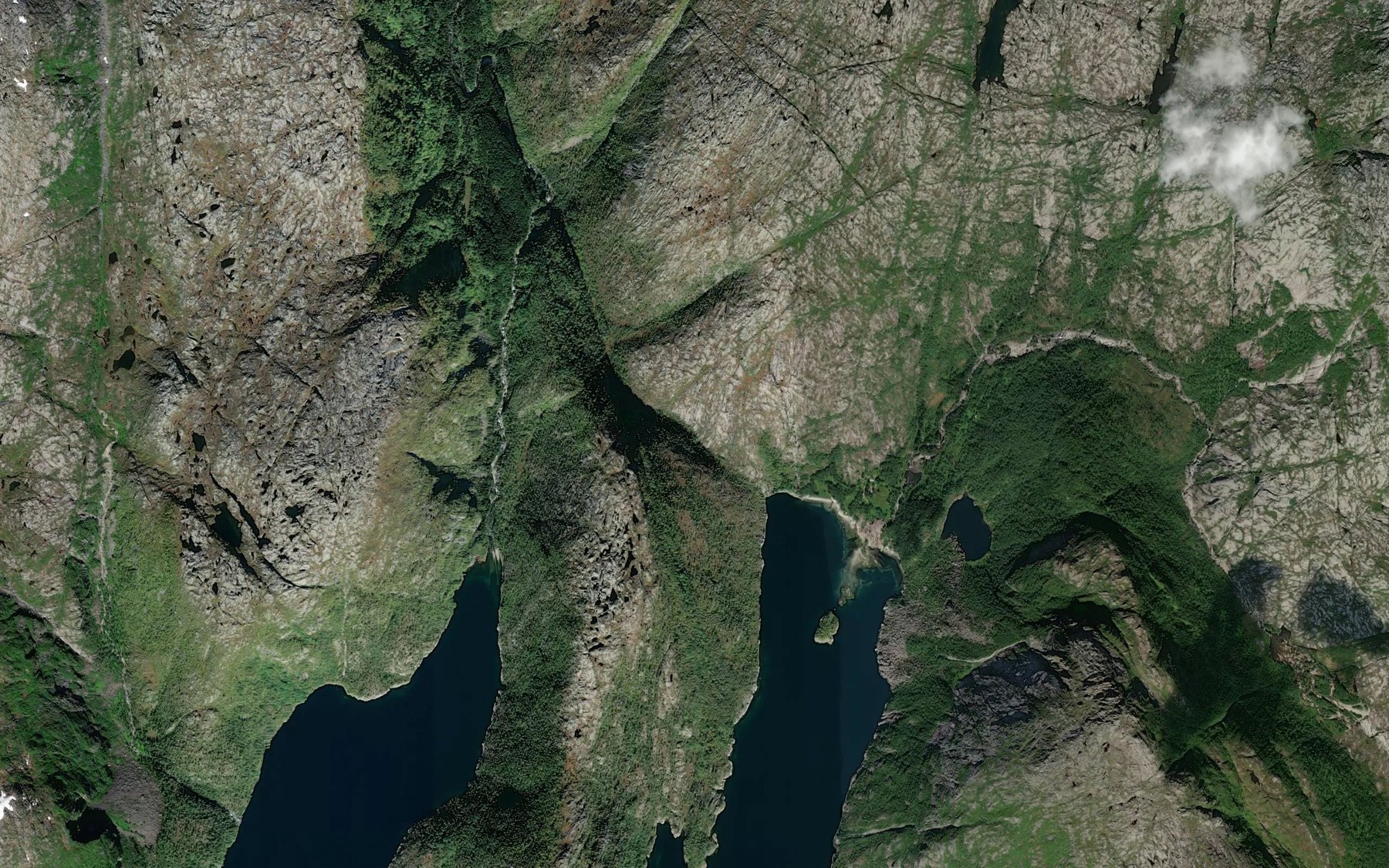Satellite map of the Blesbekken