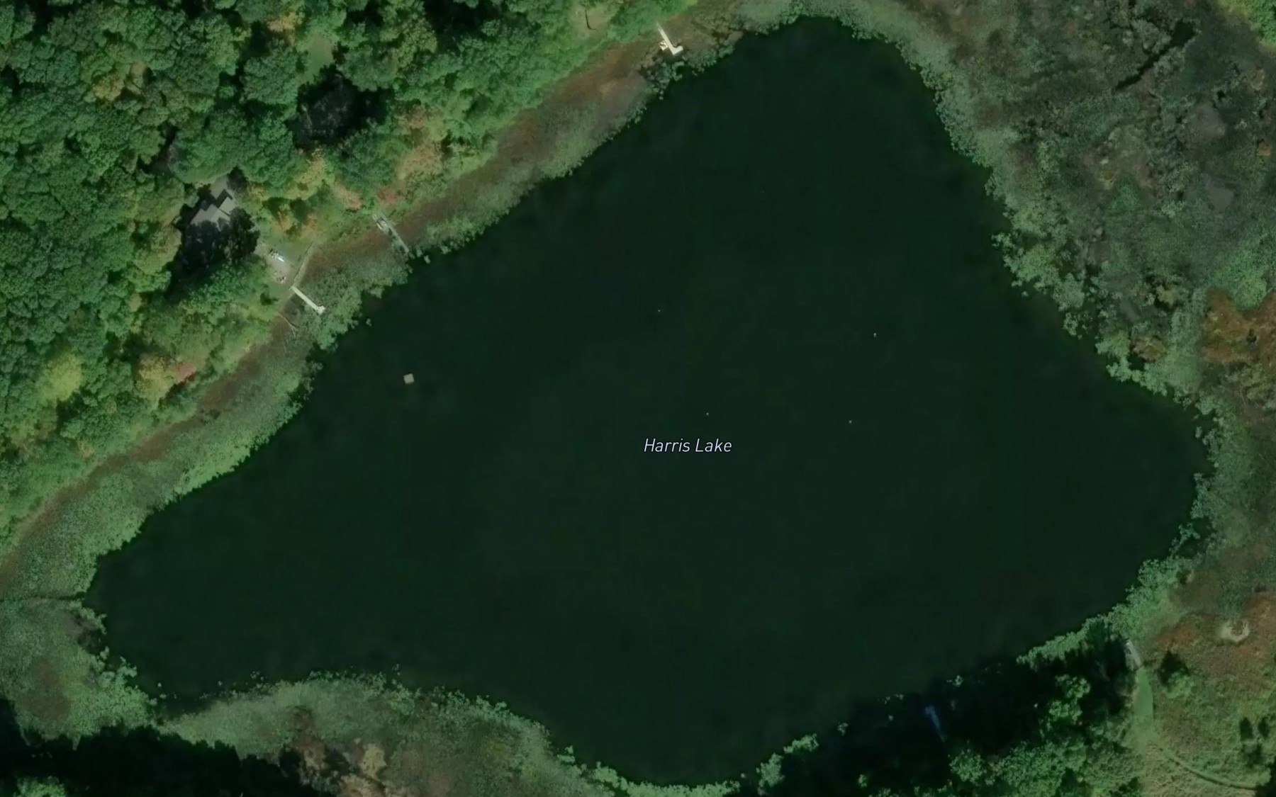 Satellite map of the Harris Lake