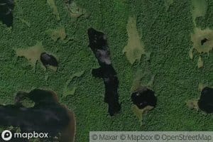Treefrog Lake