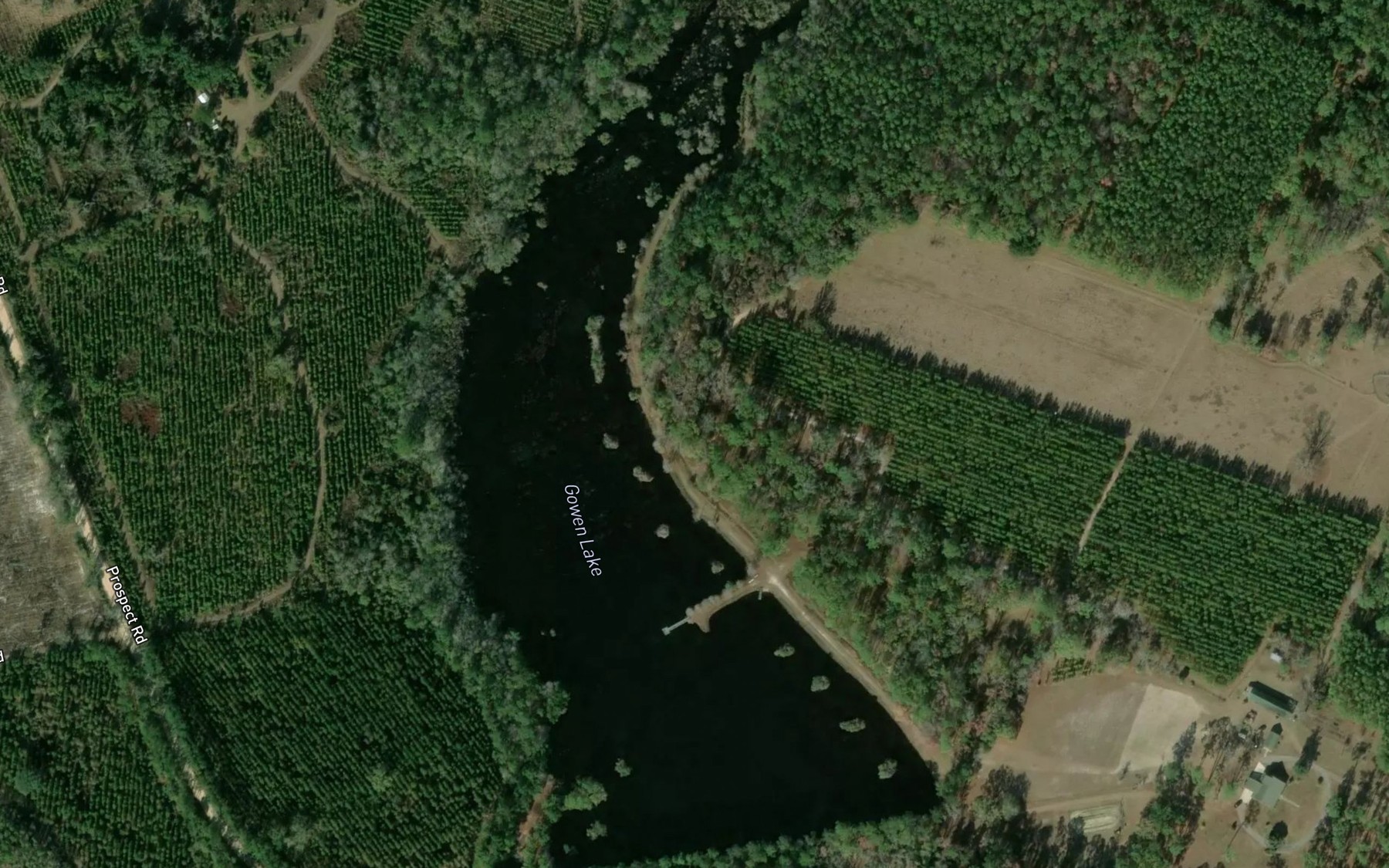 Satellite map of the Gowen Lake