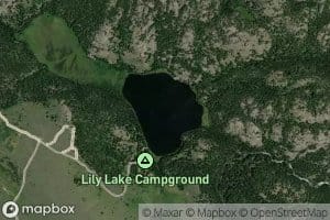 Lily Lake