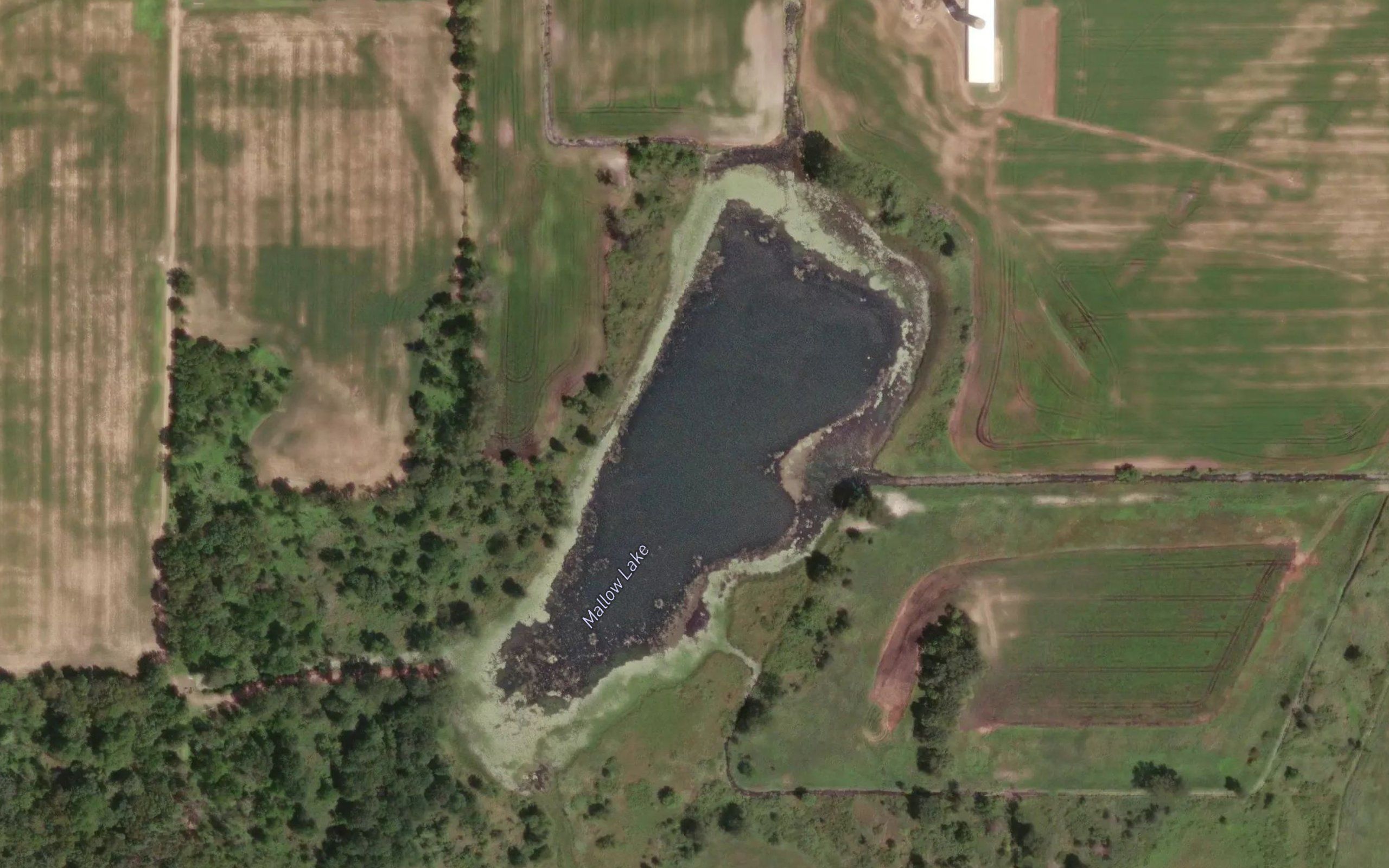 Mallow Lake