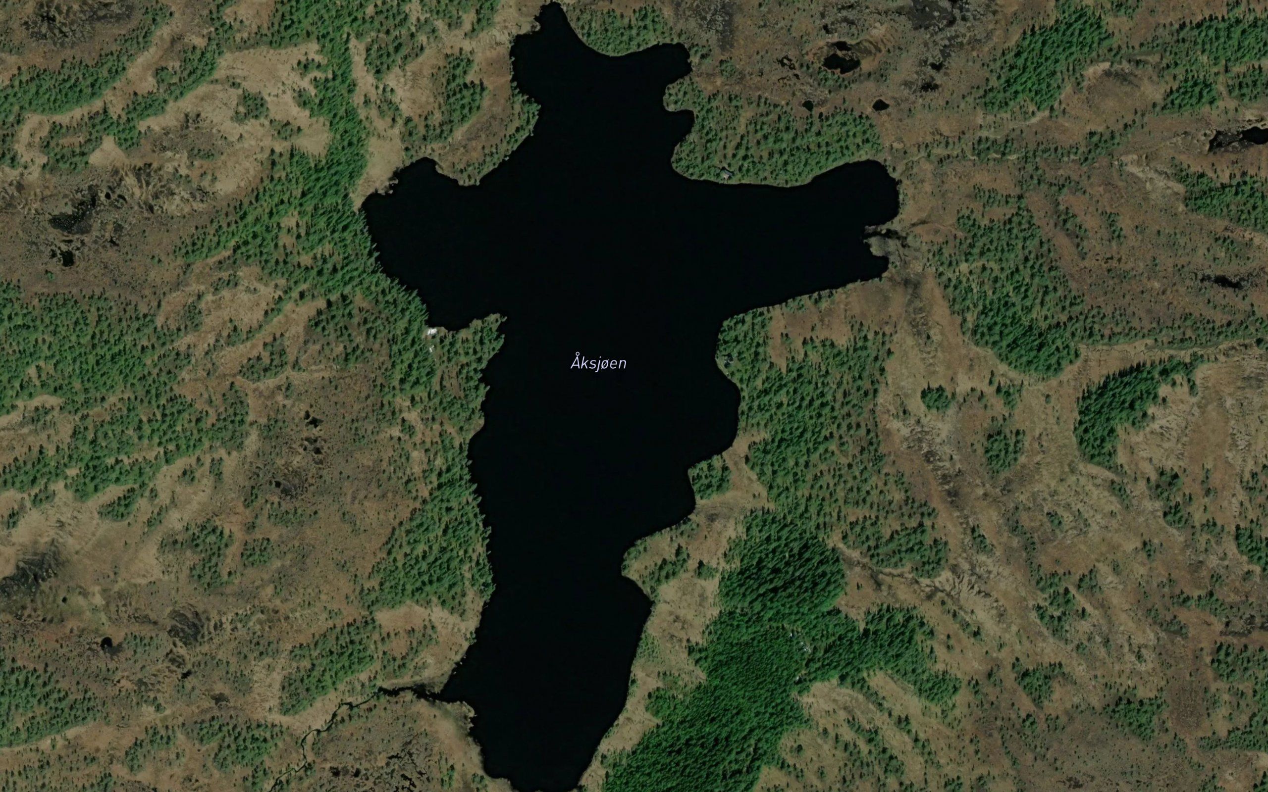 Aksjoen