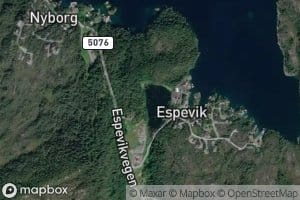 Espeviktjorna