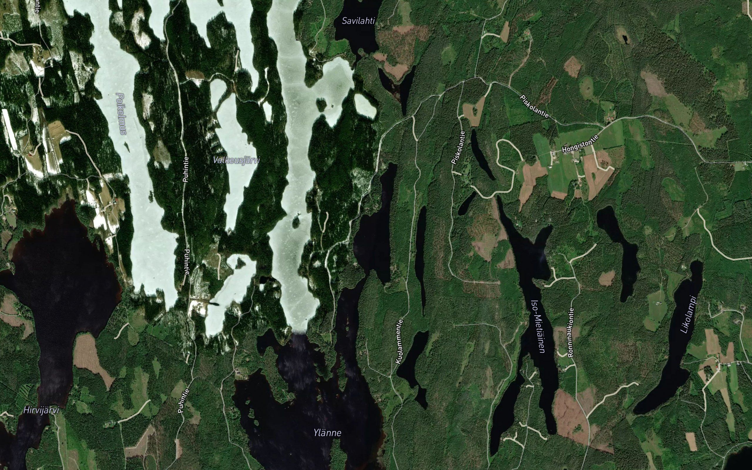 Mesialahti