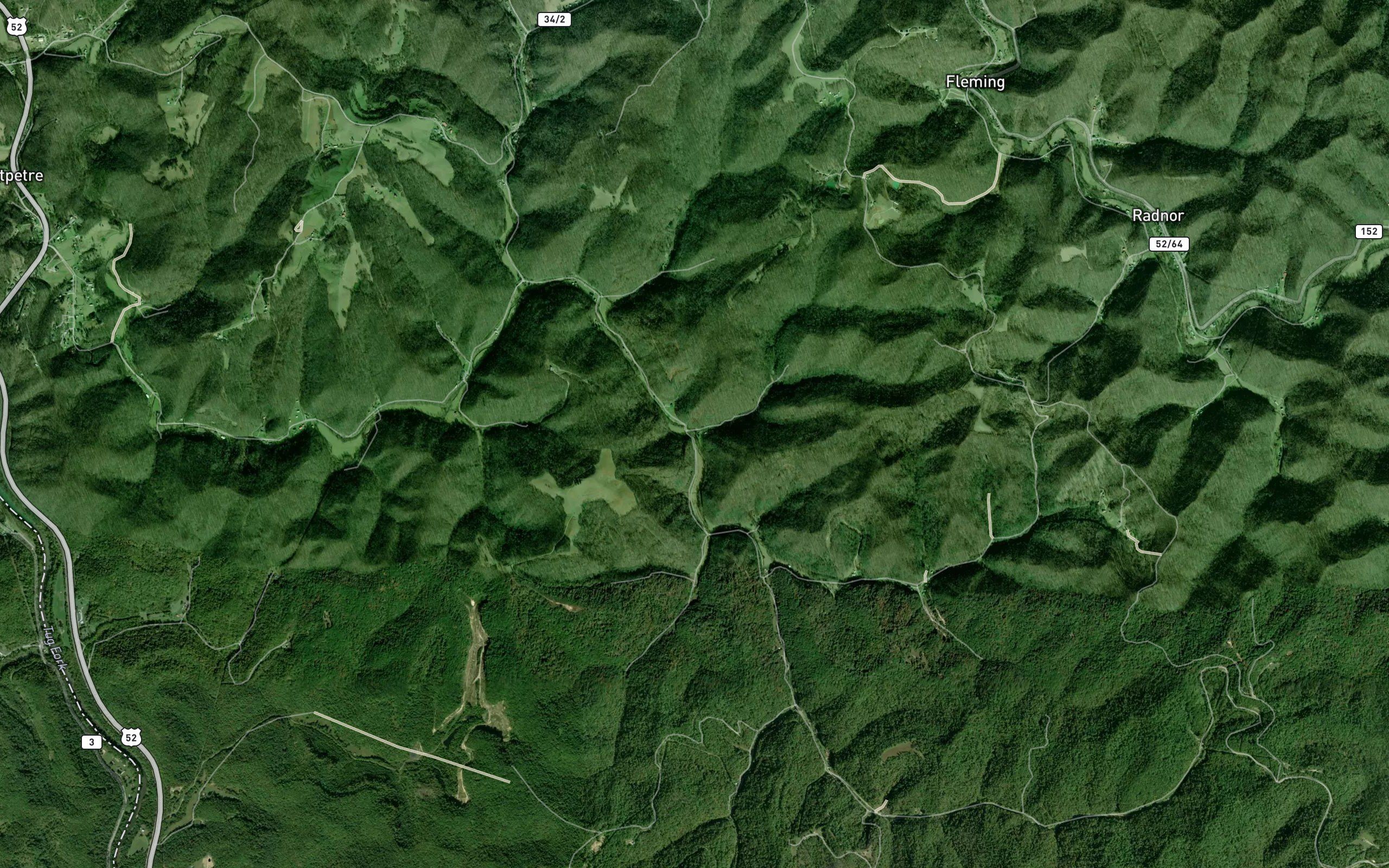 Amp Branch