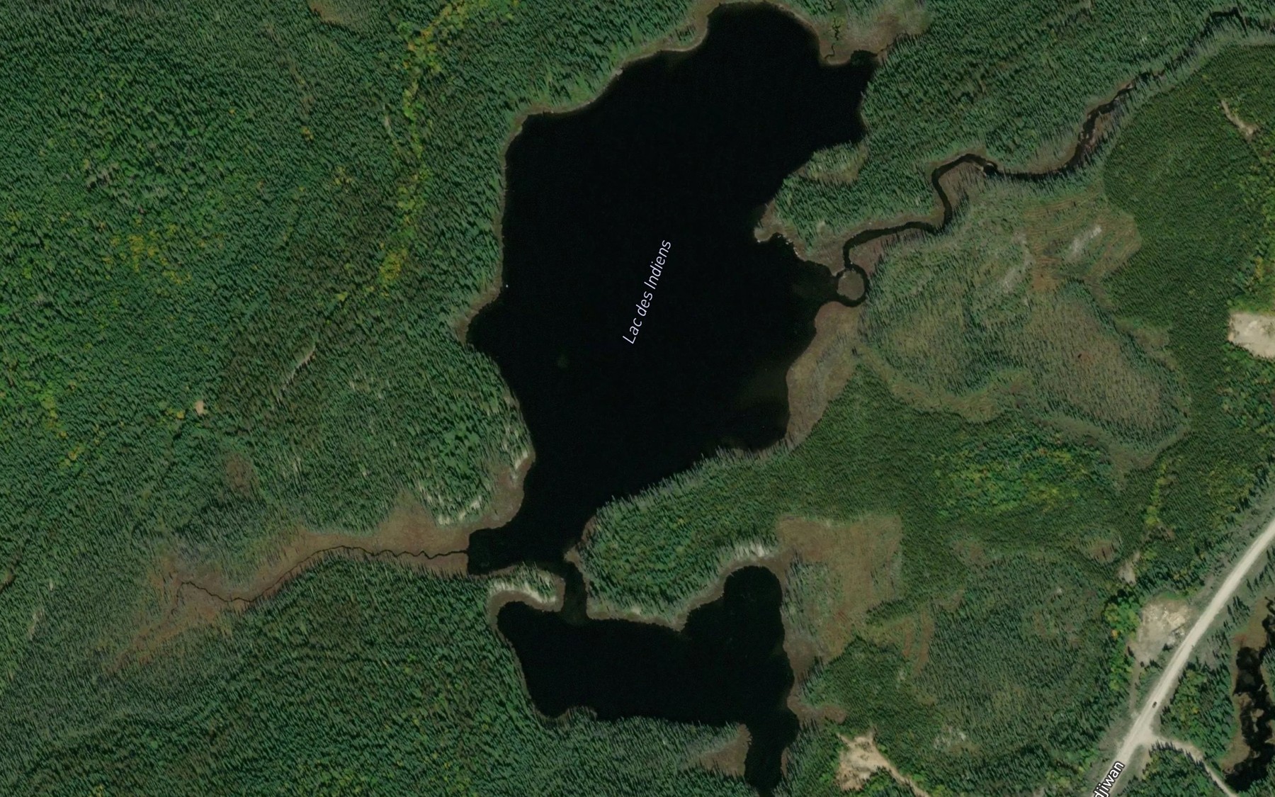 Satellite map of the Lac des Indiens