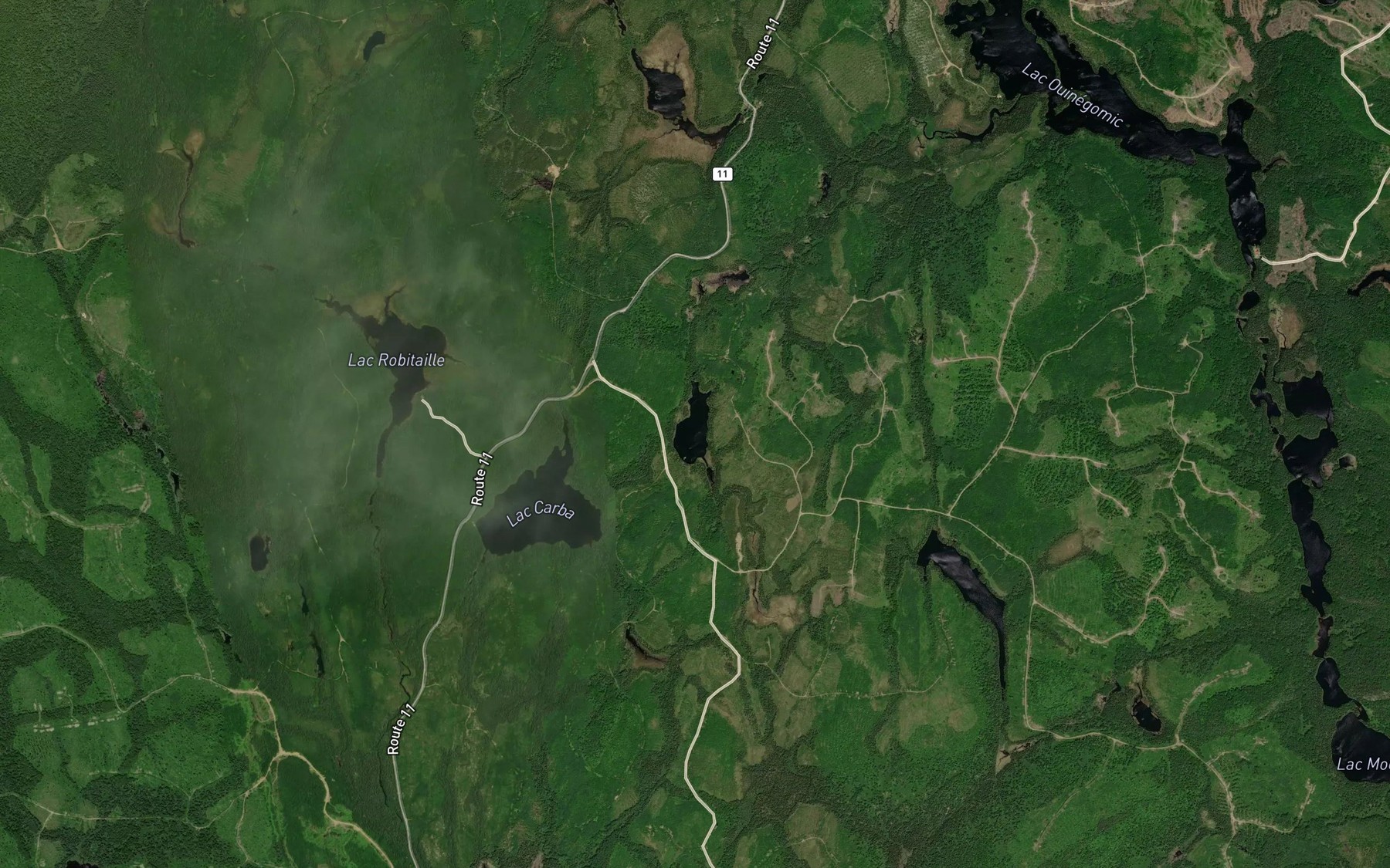 Satellite map of the Lac Real