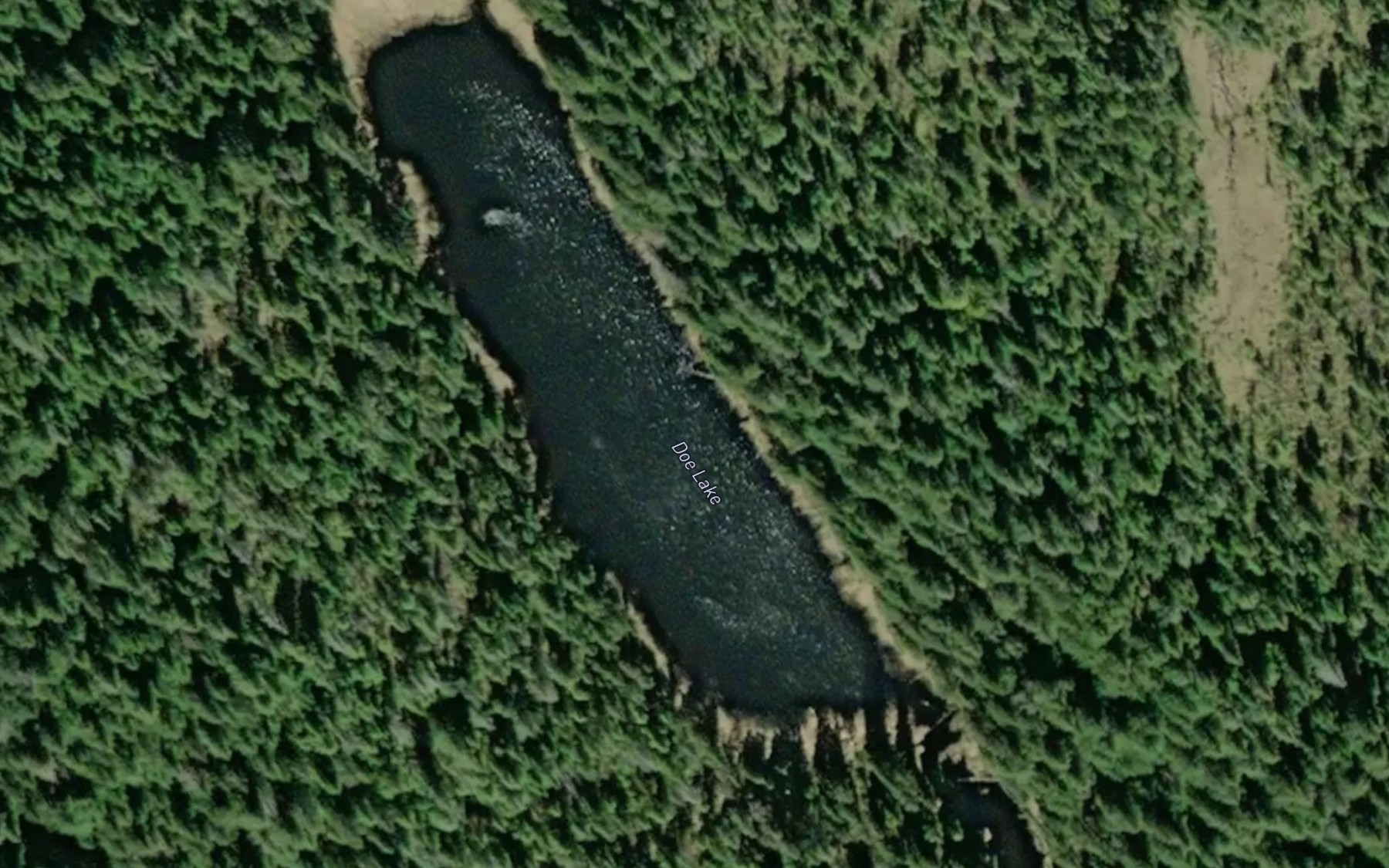Satellite map of the Doe Lake