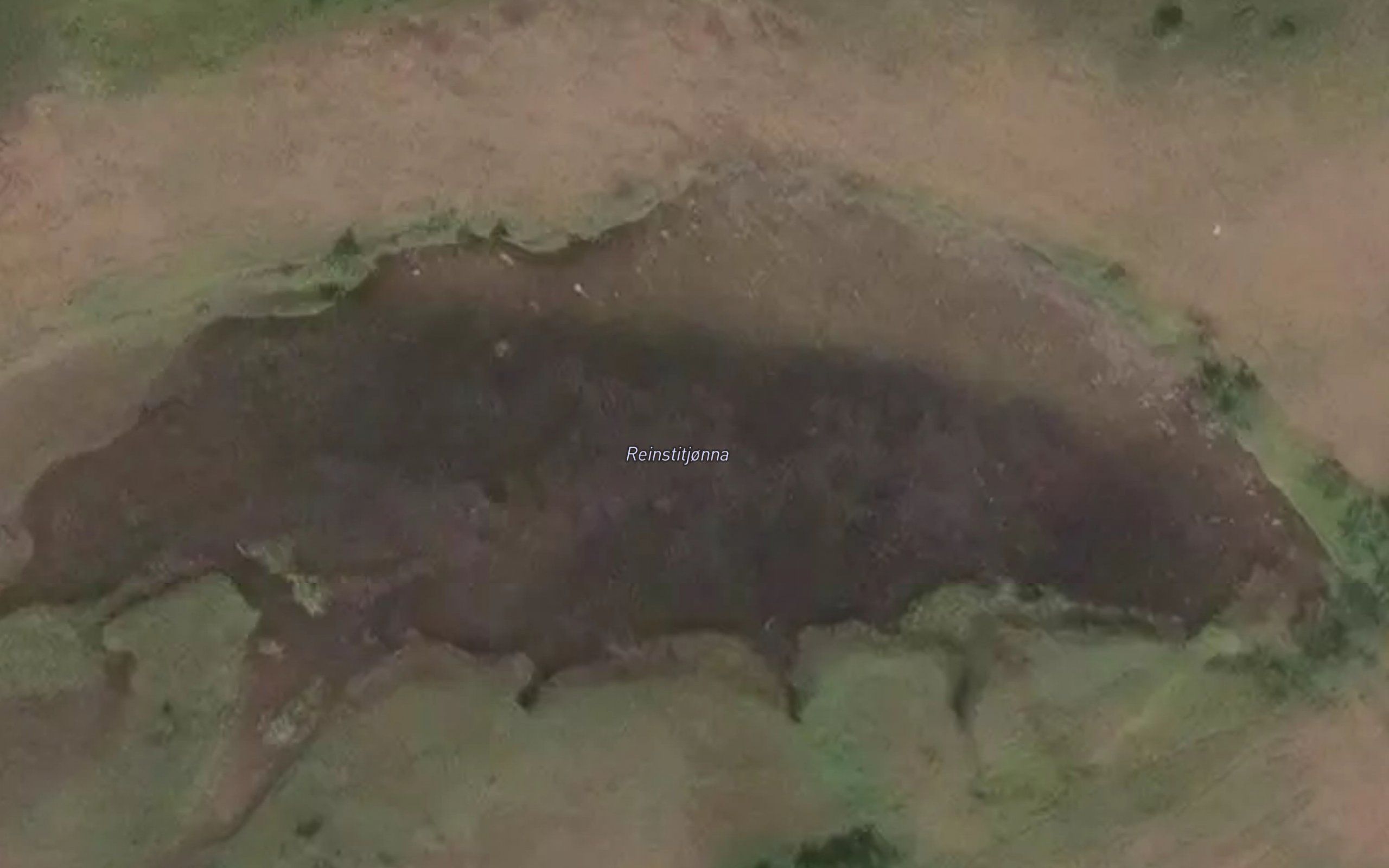 Reinslitjorna