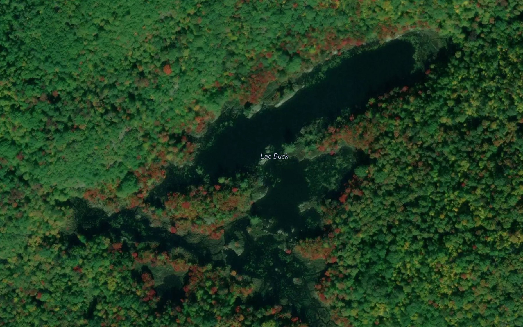 Satellite map of the Lac Buck