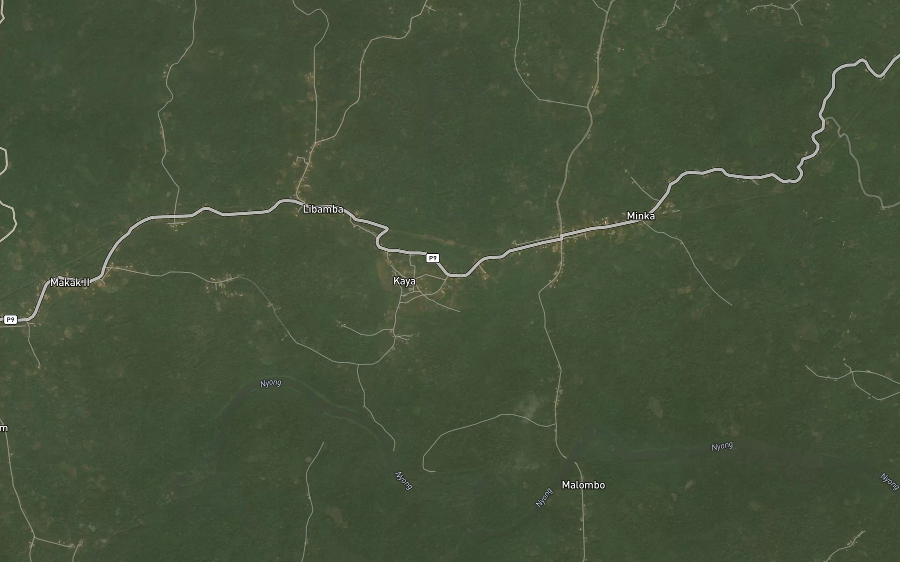 Satellite map of the Ndongo