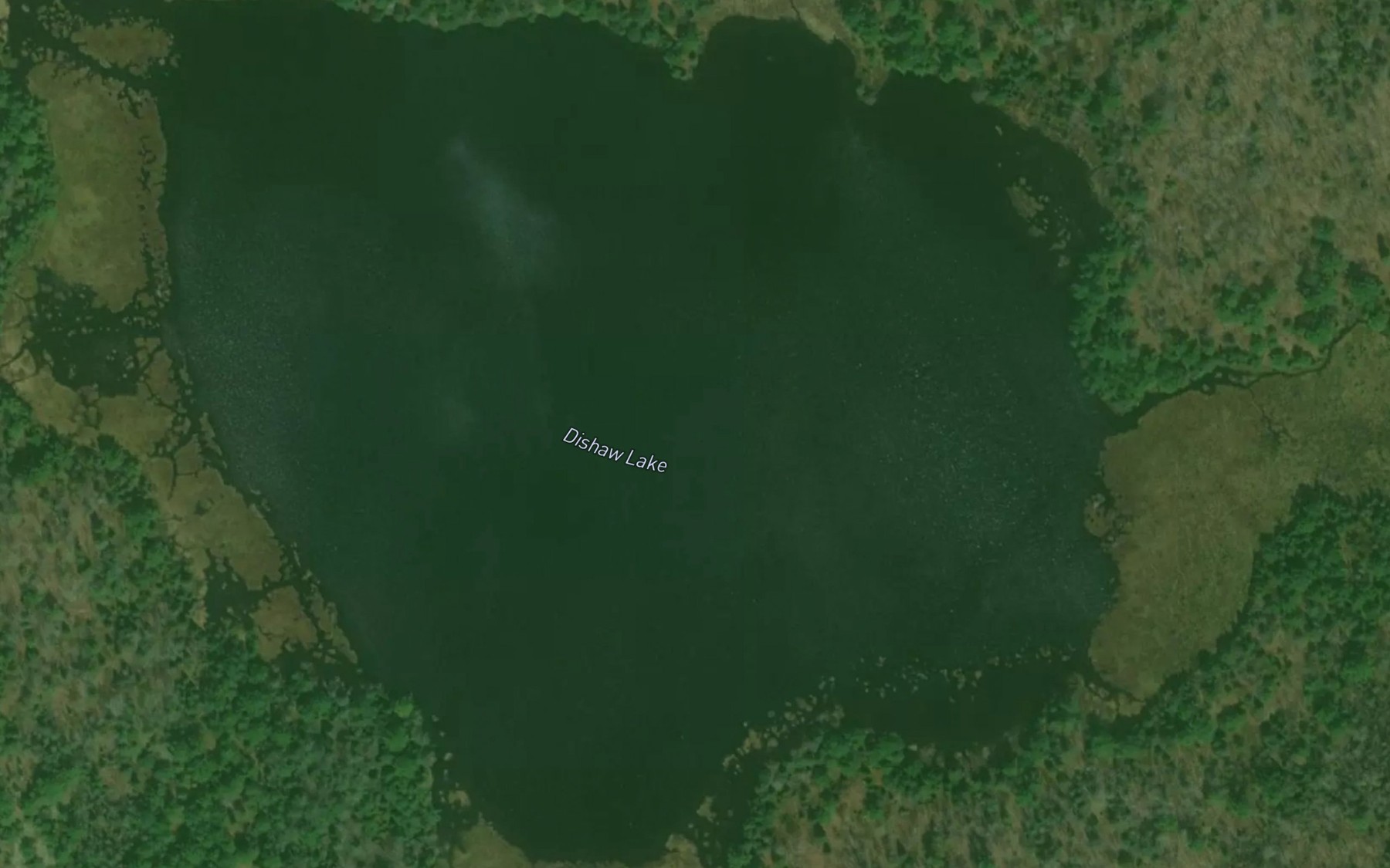 Satellite map of the Dishaw Lake