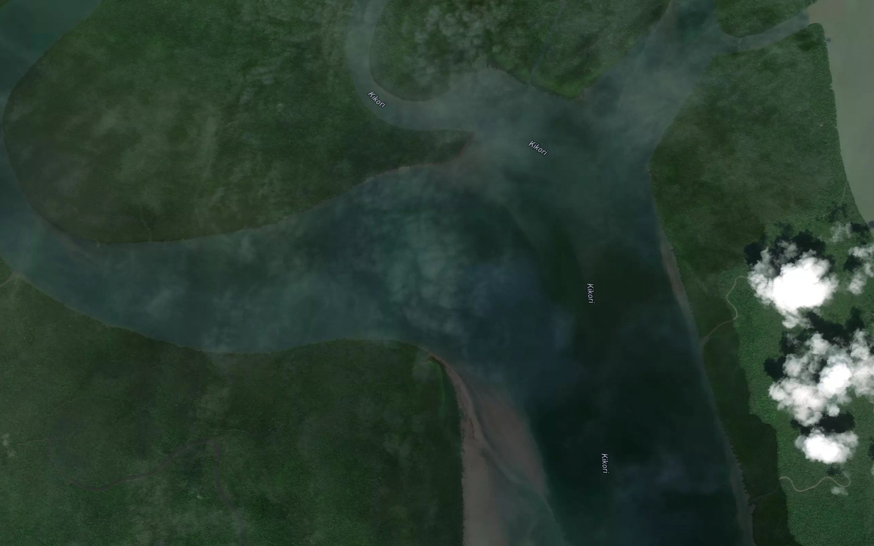 Satellite map of the Newberry River