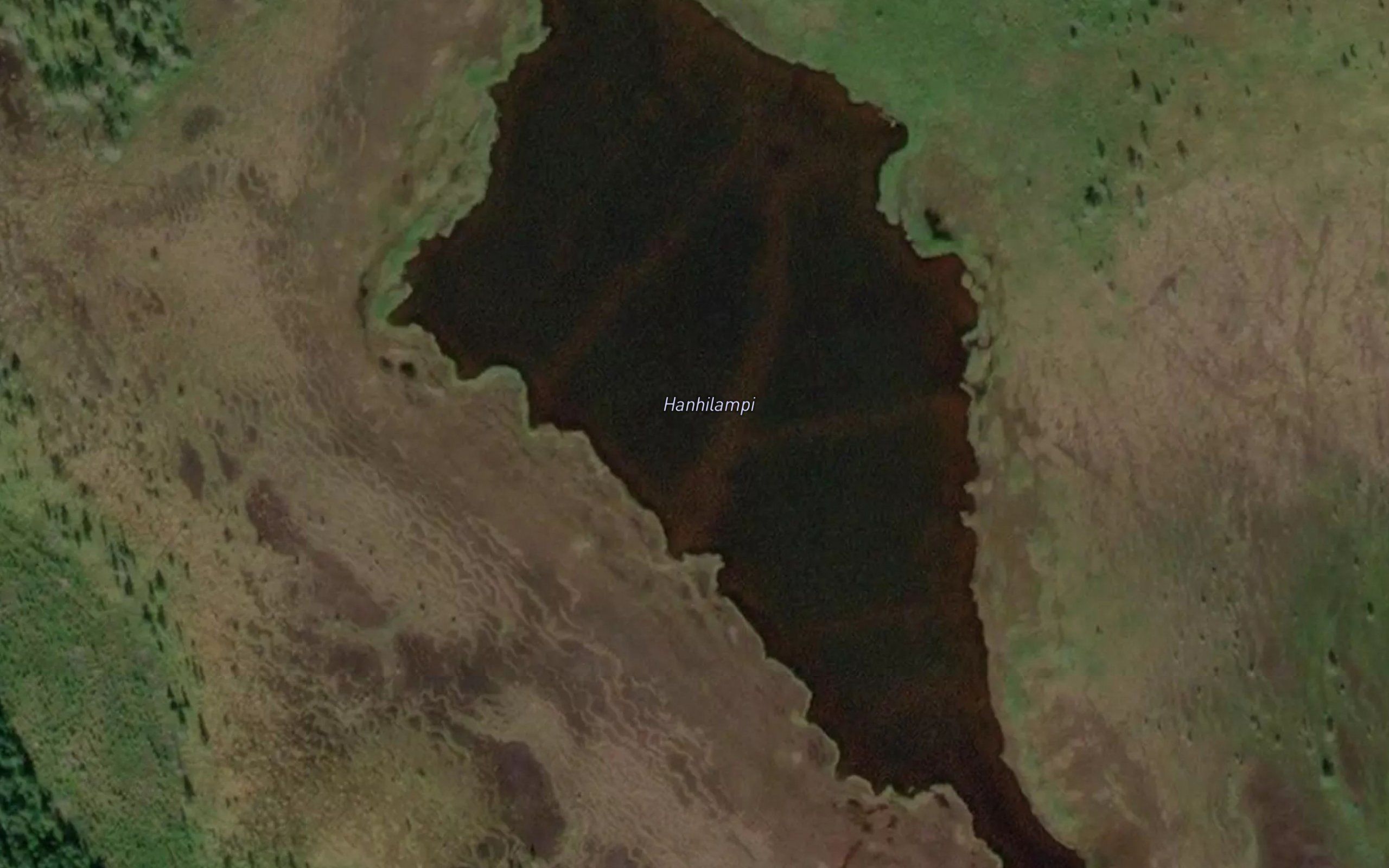 Hanhilampi