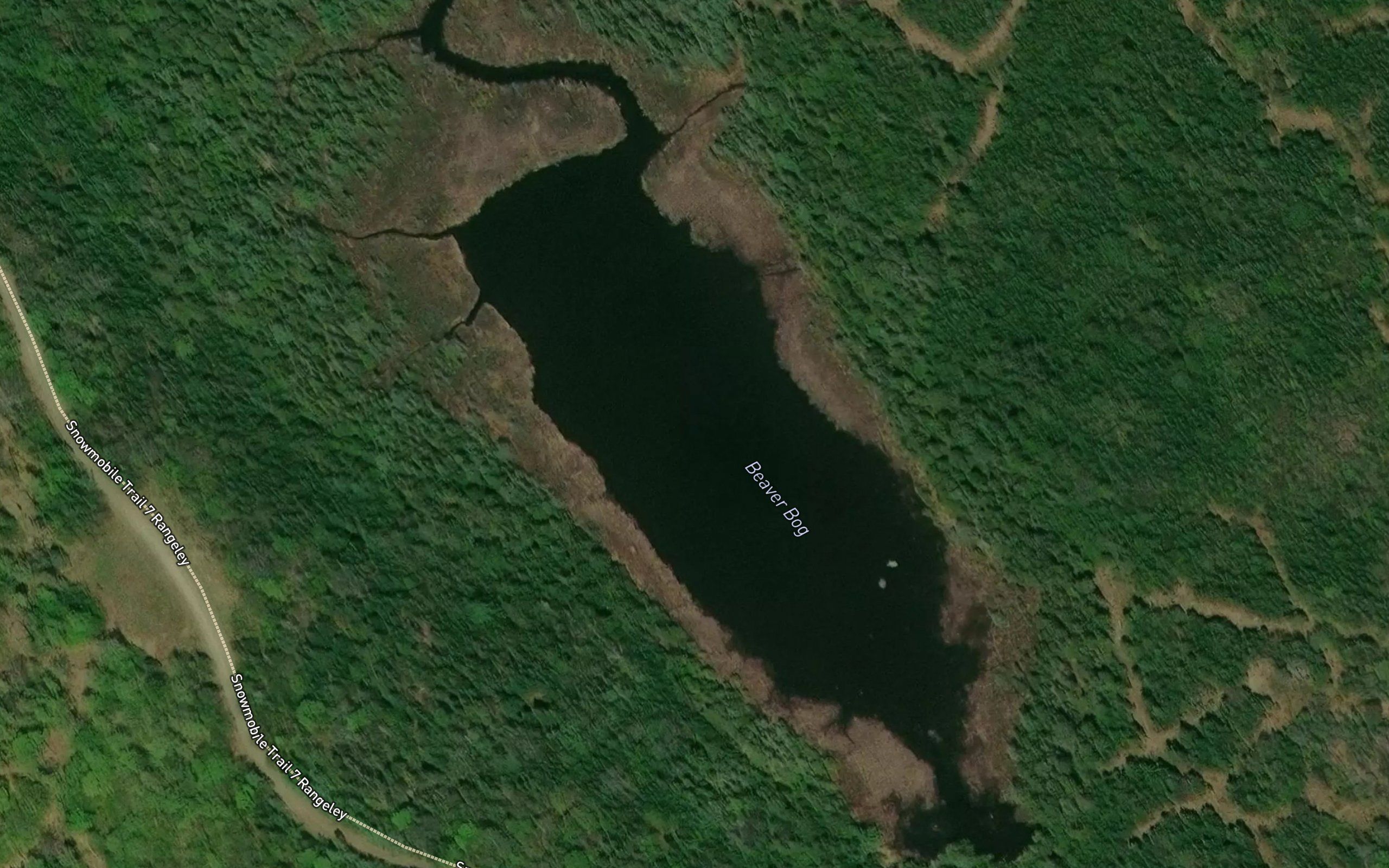 Beaver Bog