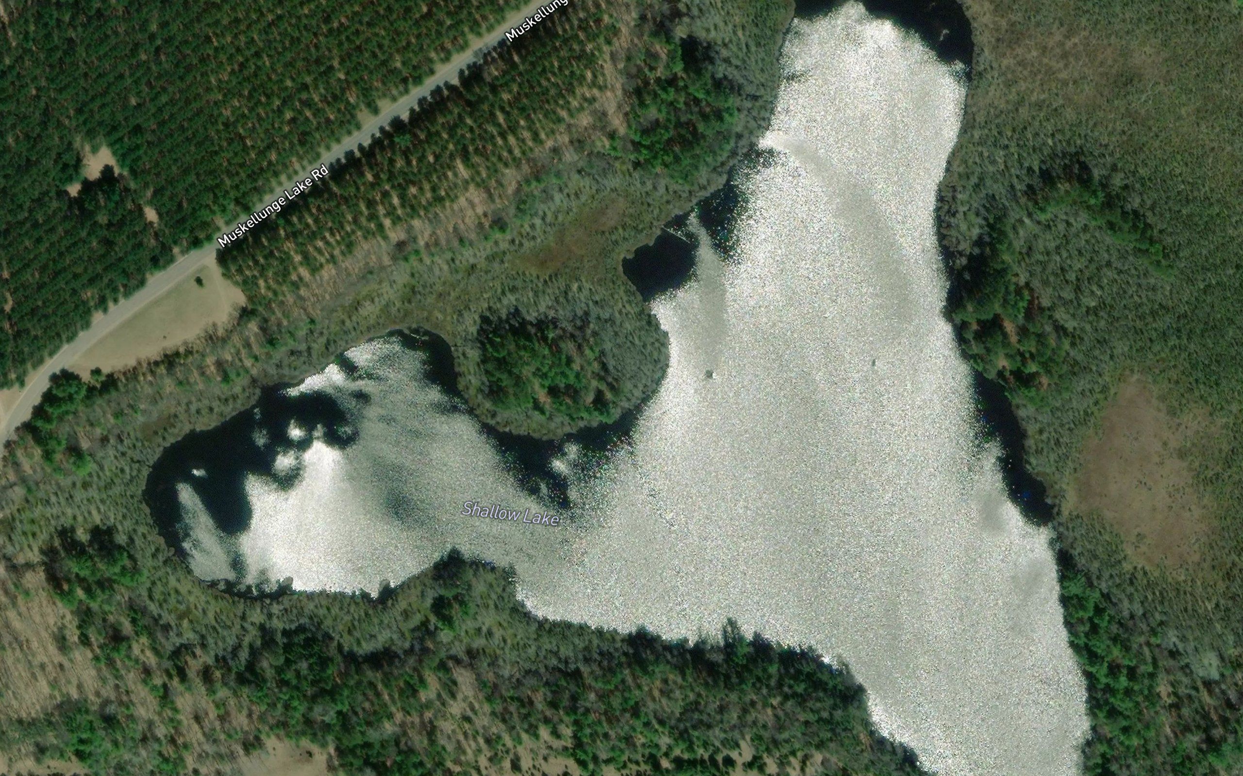 Shallow Lake