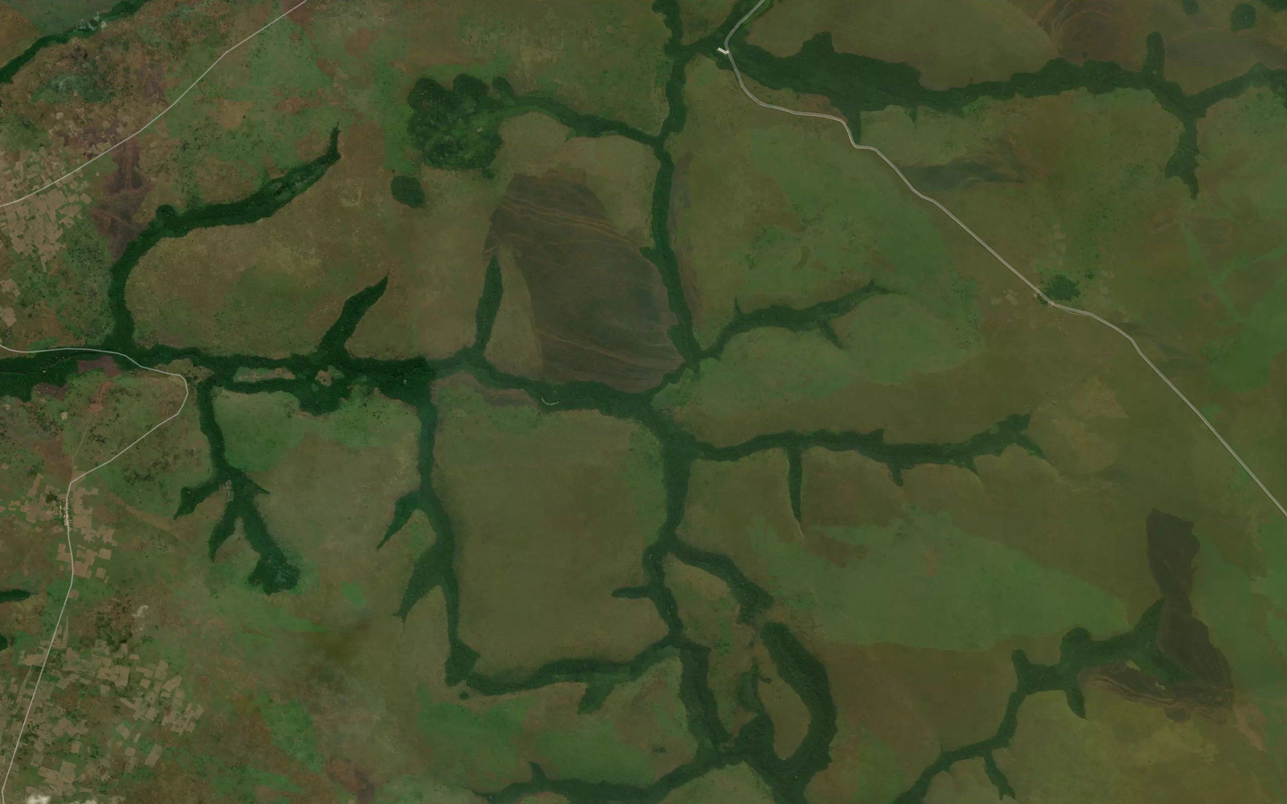 Kifundu