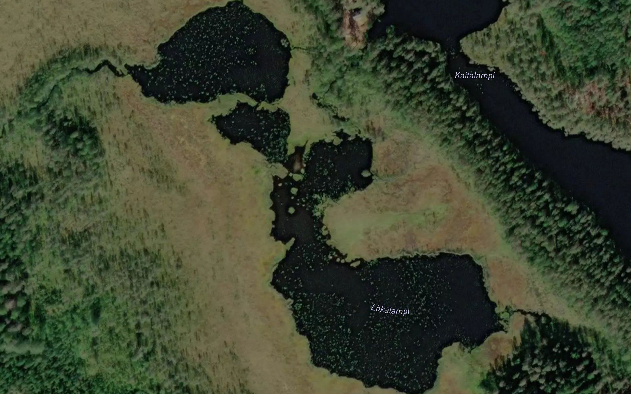 Lokalampi