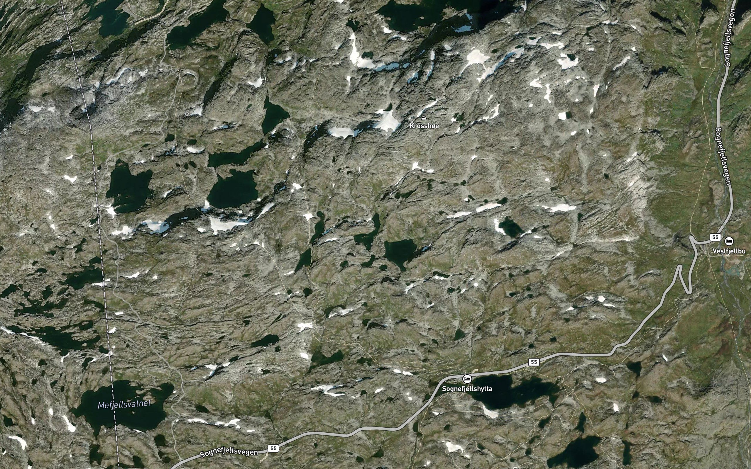 Trivlegtjorni