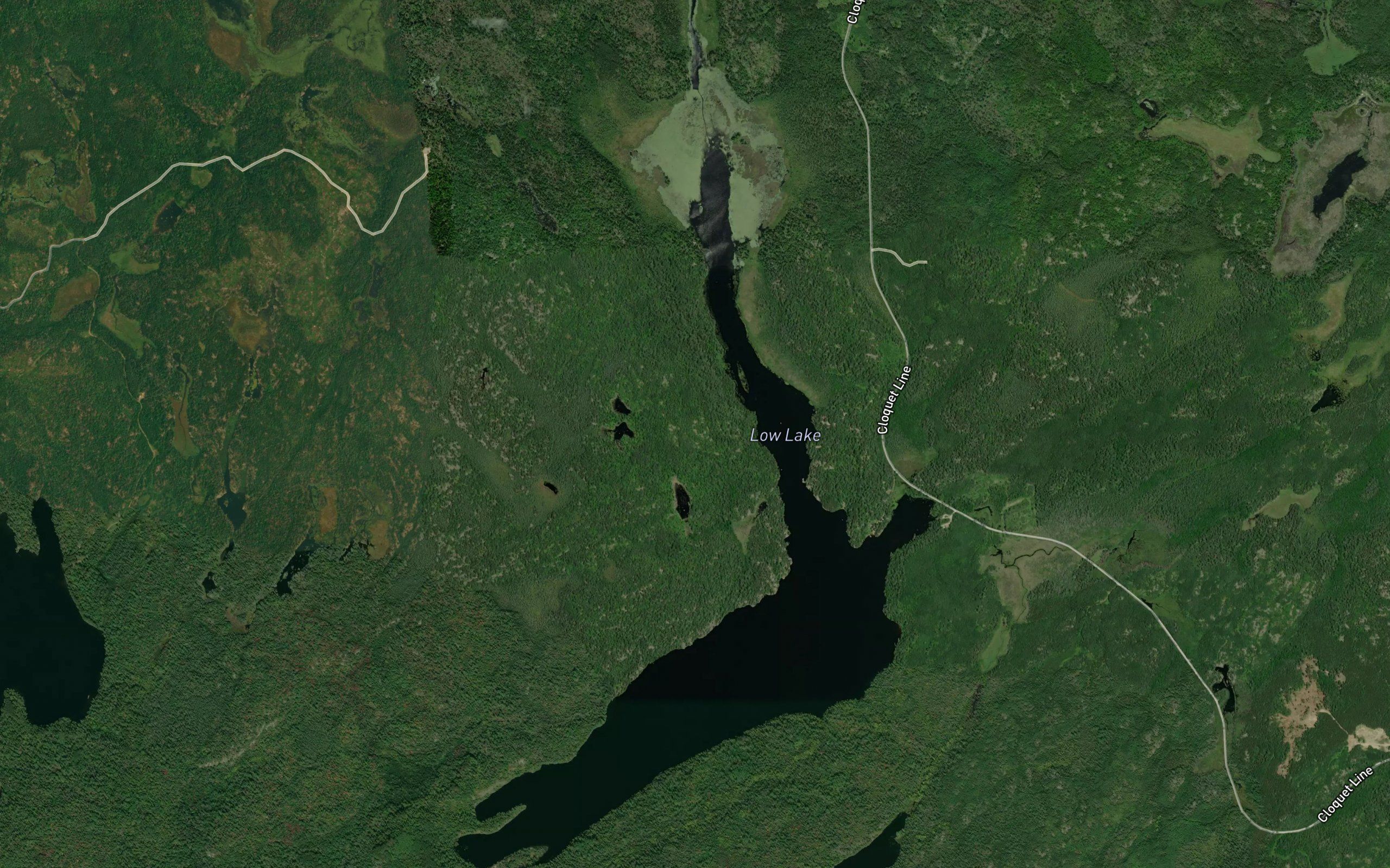 Low Lake