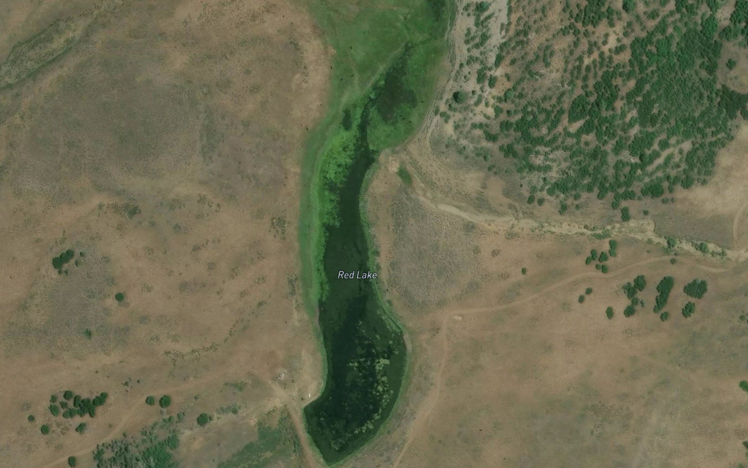 Red Lake