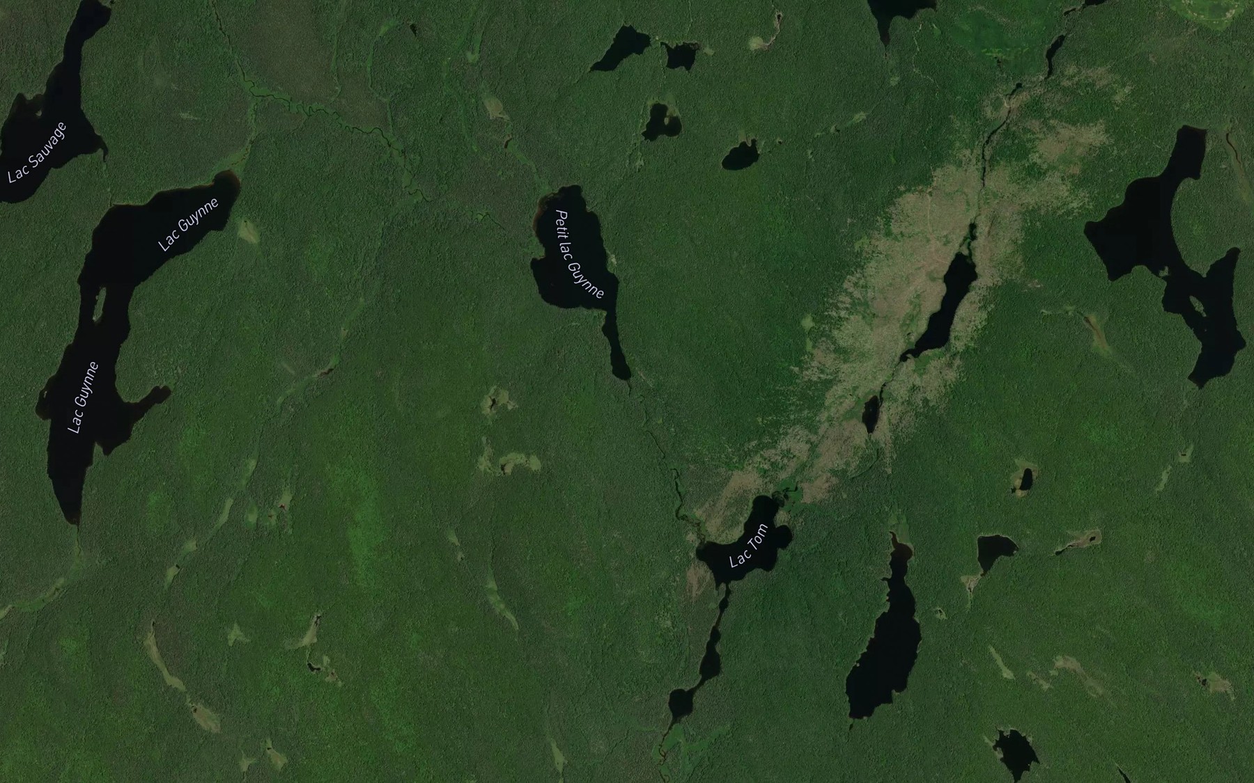 Satellite map of the Crique Guynne