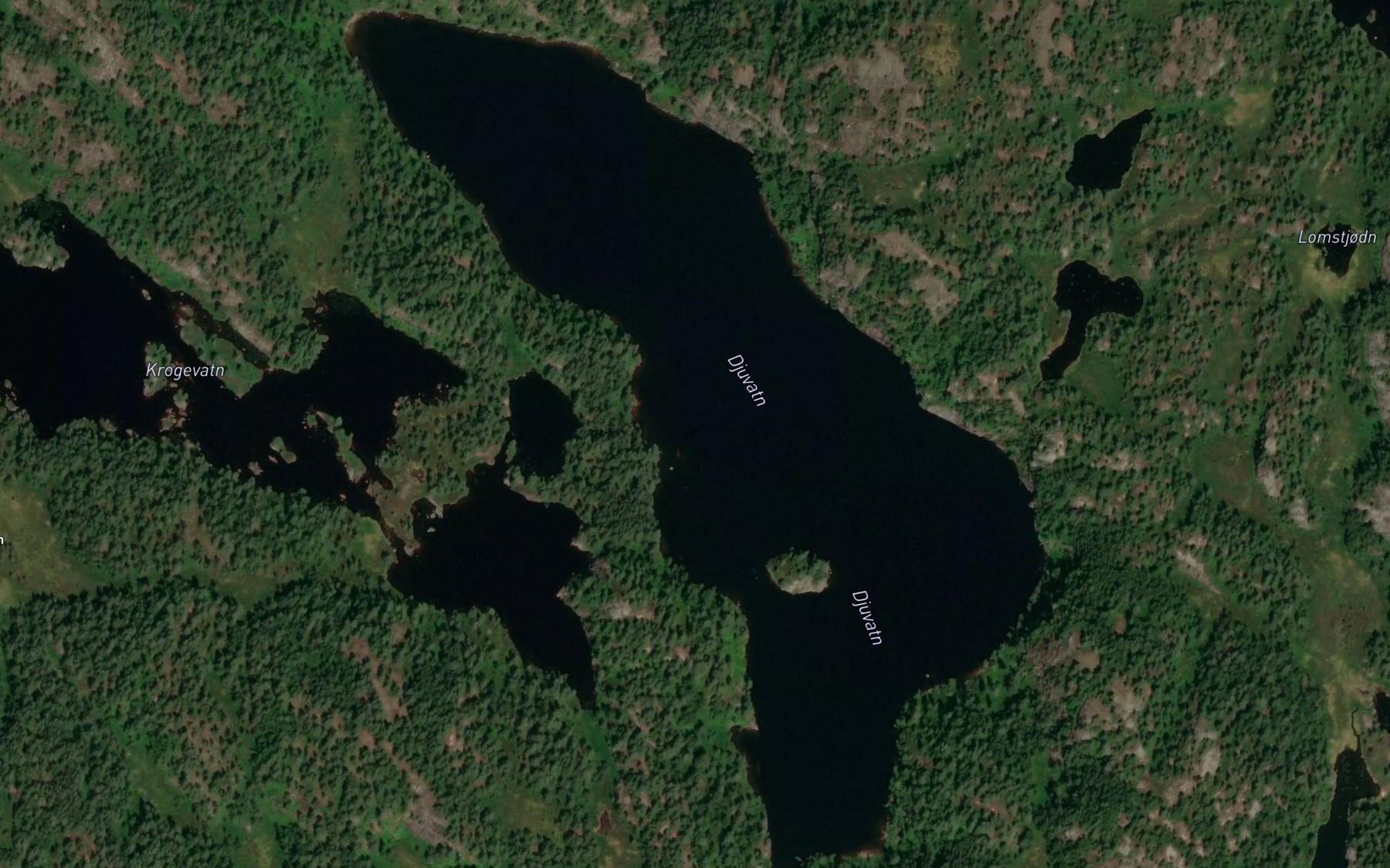 Satellite map of the Djuvatn