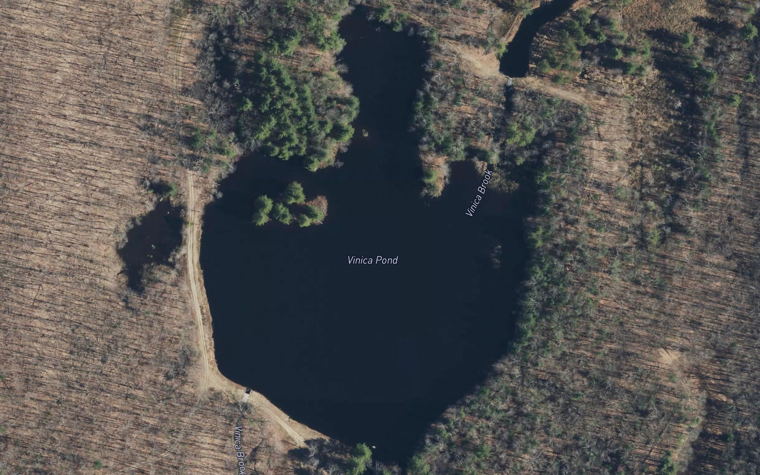 Vinica Pond