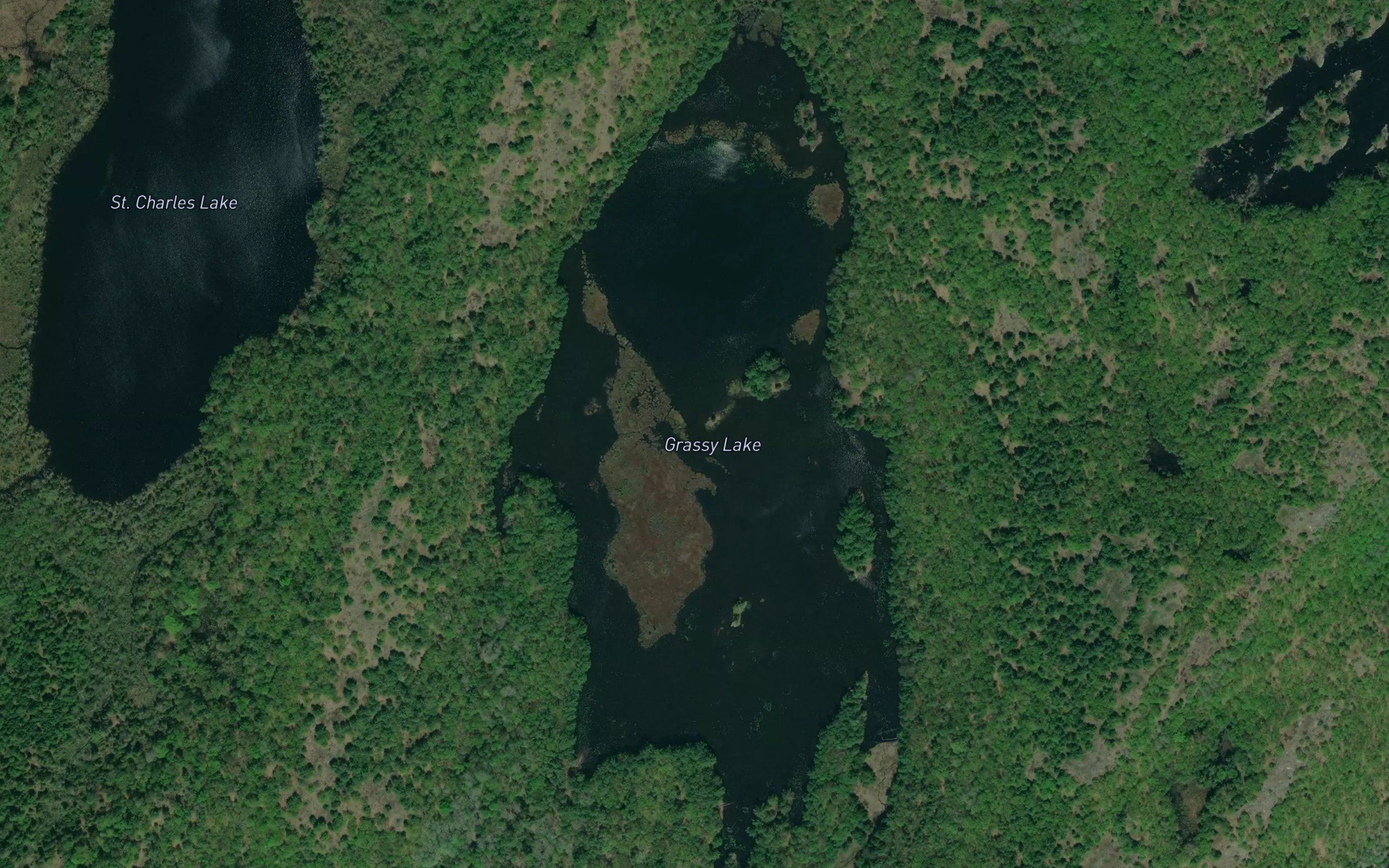 Grassy Lake