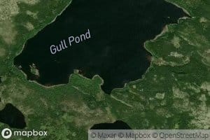 Gull Pond