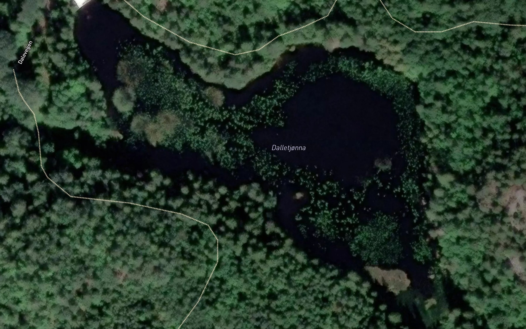 Satellite map of the Dalletjonna