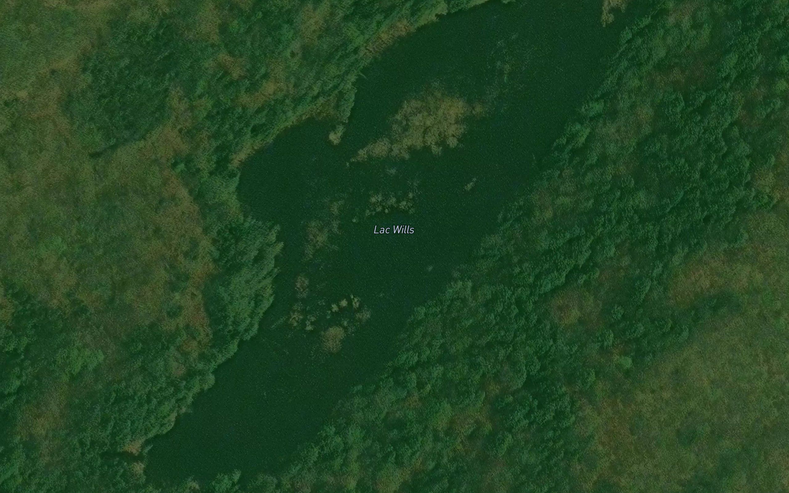 Lac Wills